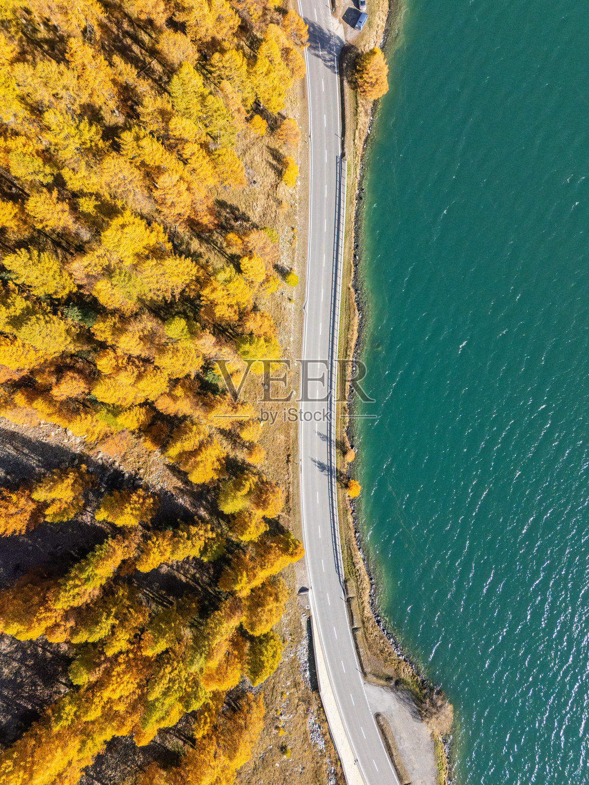 秋季树木与弯曲湖边道路的鸟瞰图照片摄影图片