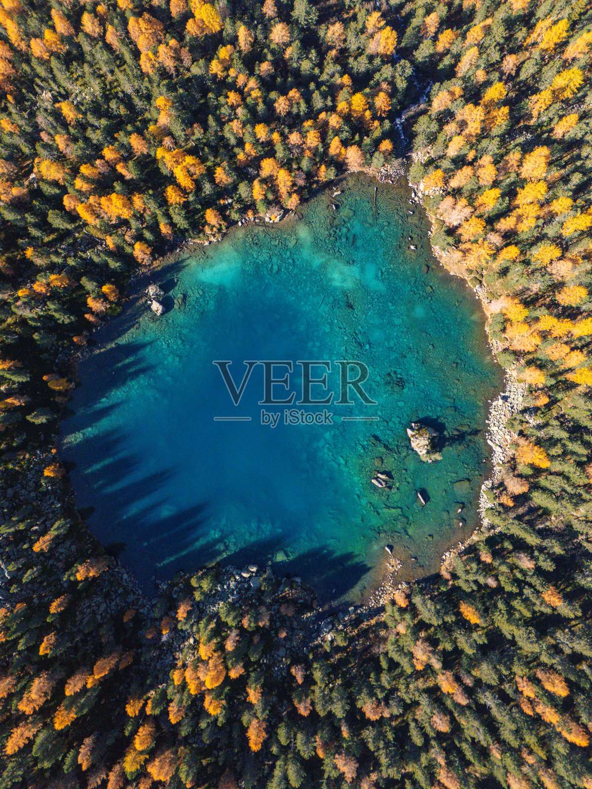 秋季森林中清澈蓝湖的俯视图照片摄影图片