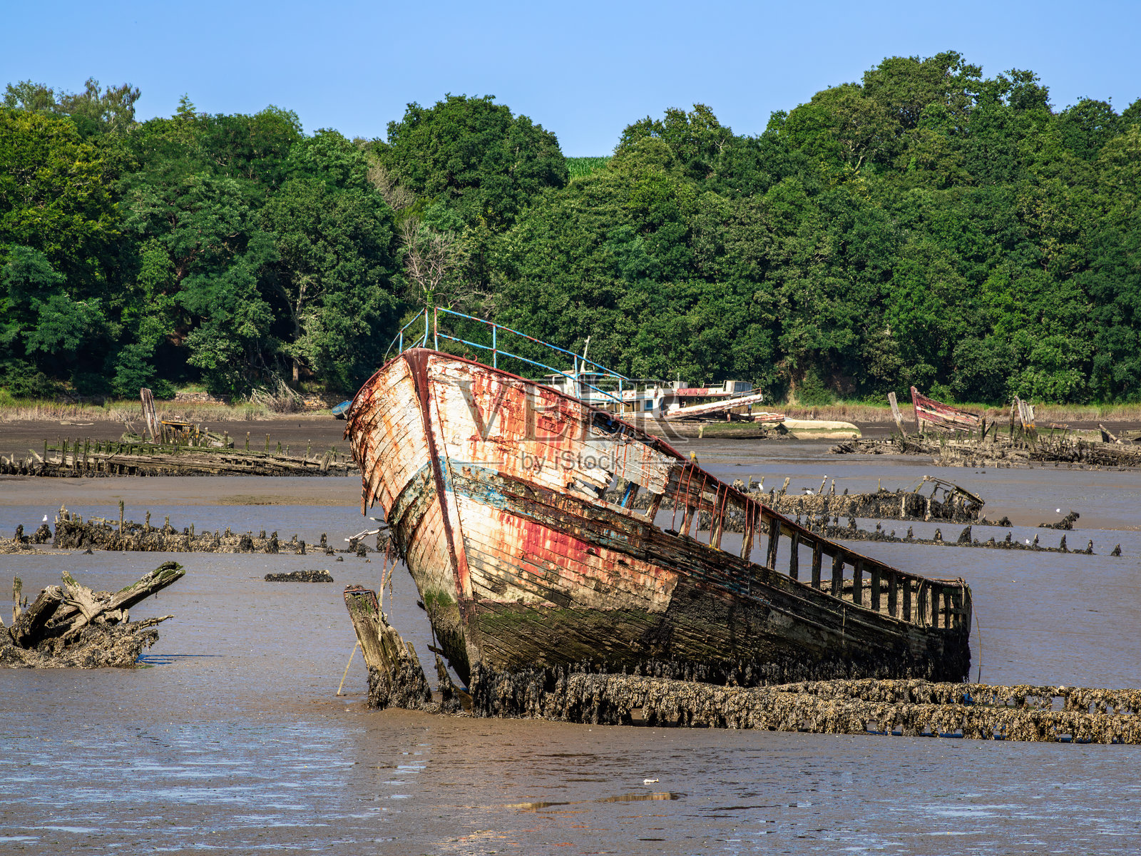 布列塔尼，兰内斯特-凯尔赫尔维，泥泞河岸上的废弃船只残骸照片摄影图片