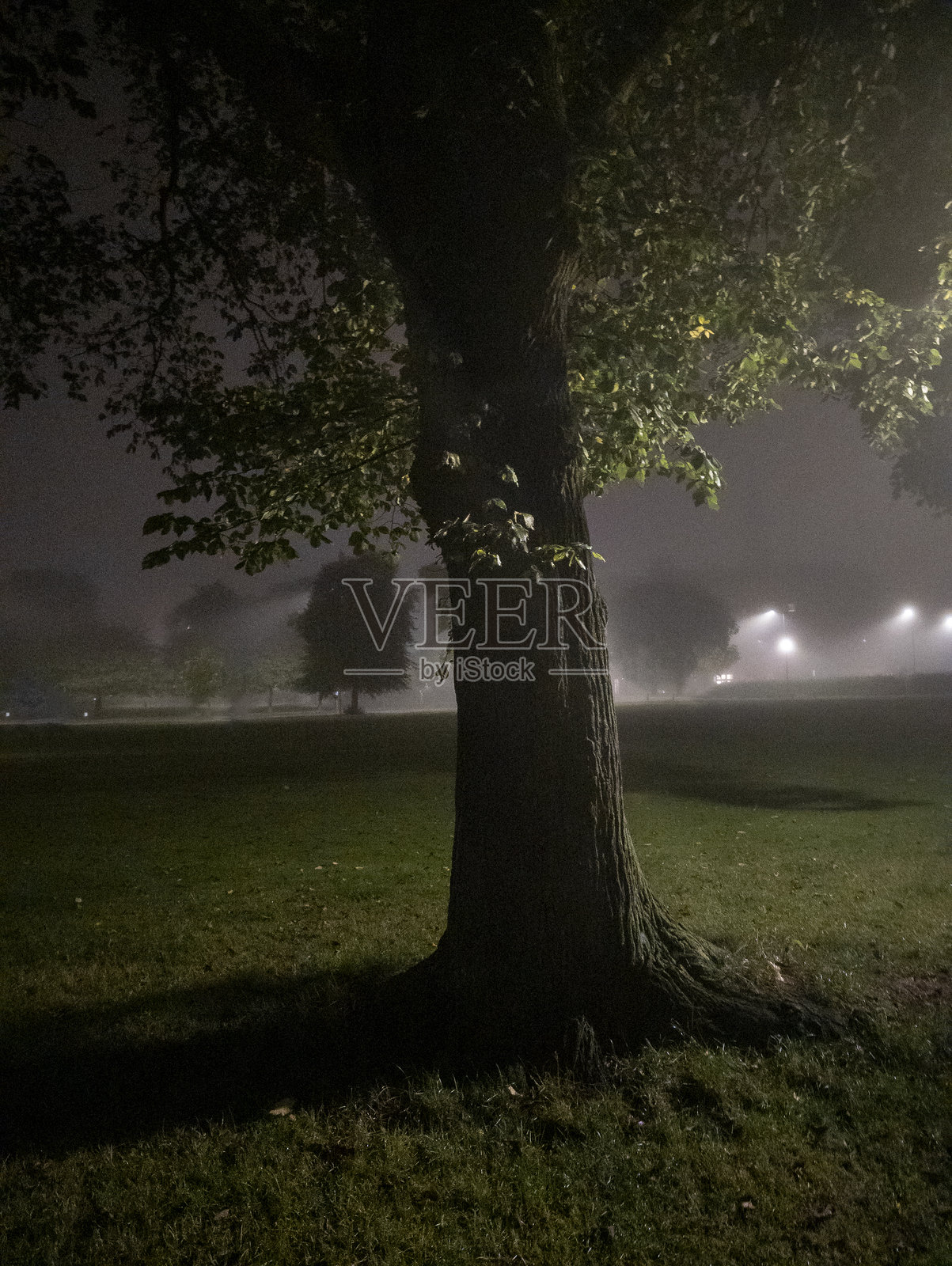 爱丁堡利斯公园夜景照片摄影图片