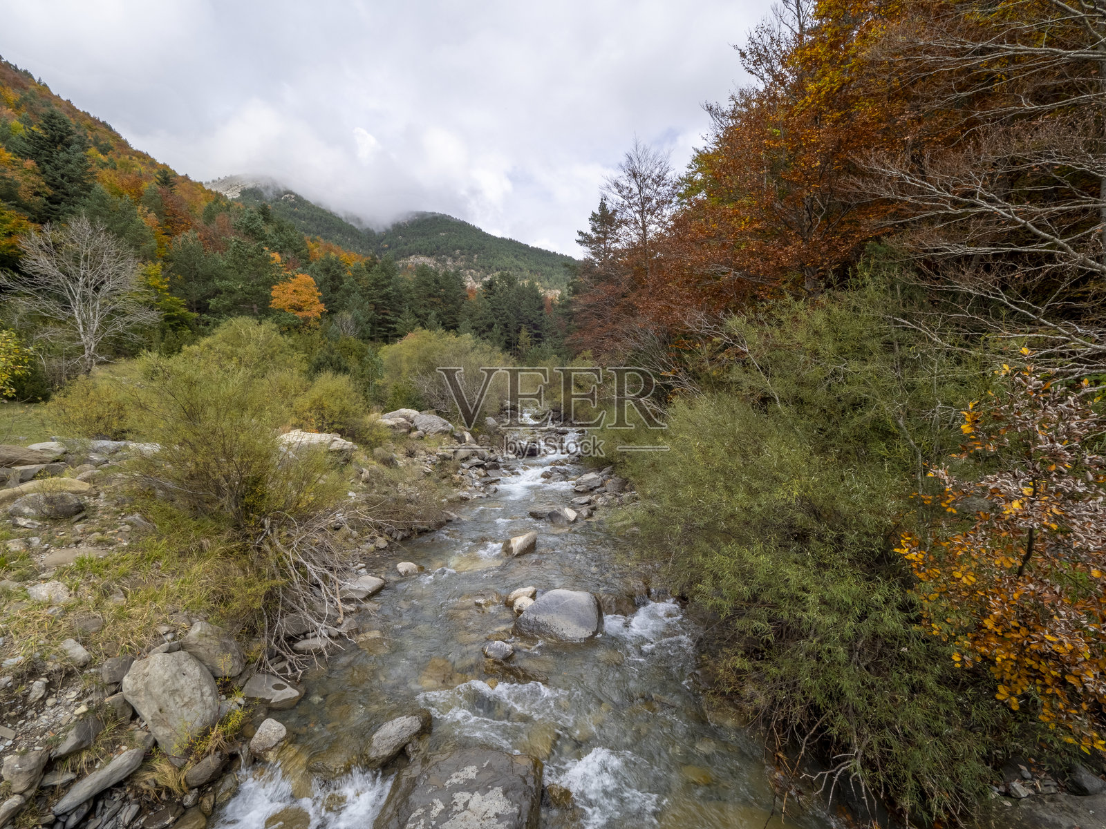秋天照片摄影图片