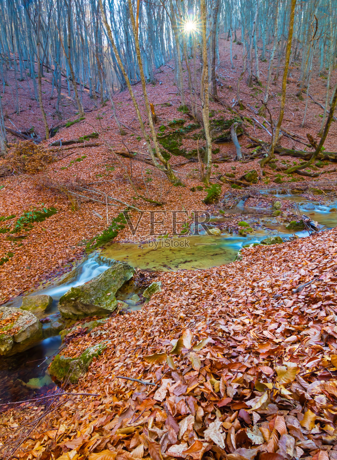 小河流经被红色干枯树叶覆盖的山谷，宁静的秋季山景照片摄影图片