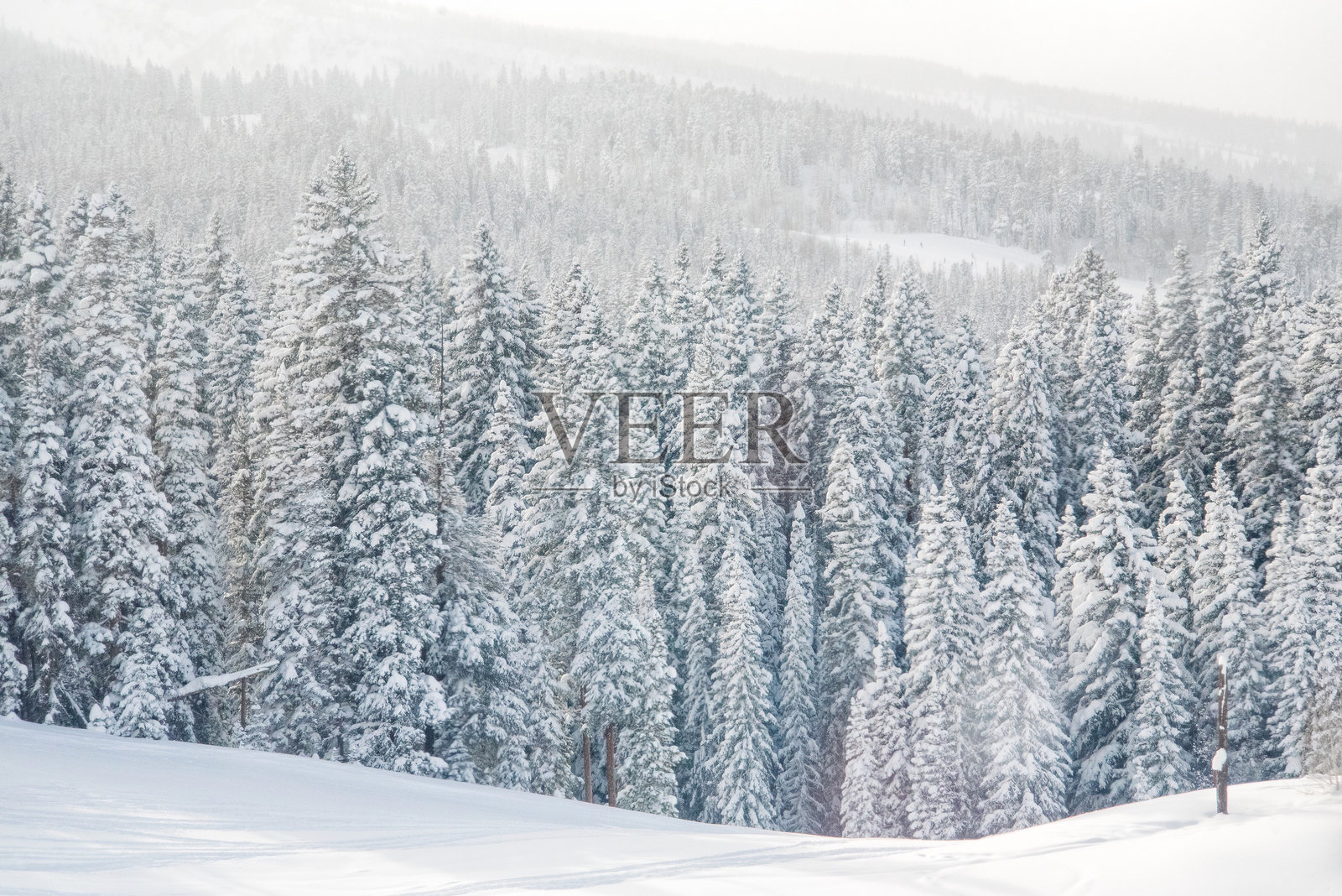 科罗拉多州阿斯彭的景色照片摄影图片