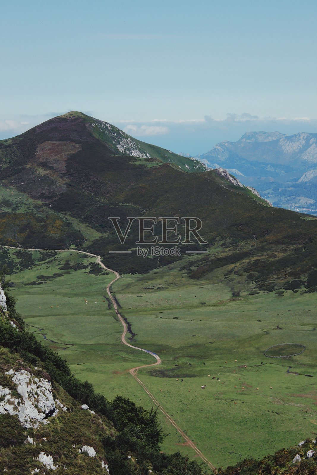 西班牙阿斯图里亚斯的绿色山谷小径照片摄影图片