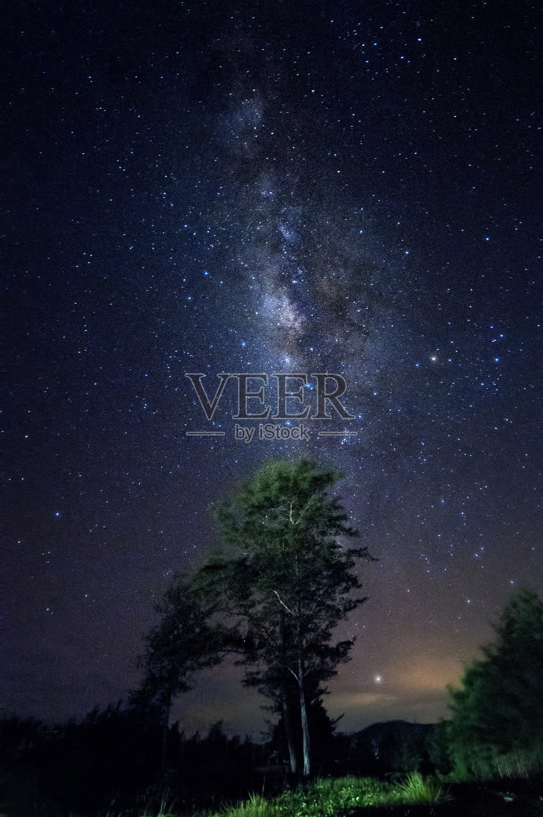 黄昏时分的天空中树木的剪影照片摄影图片