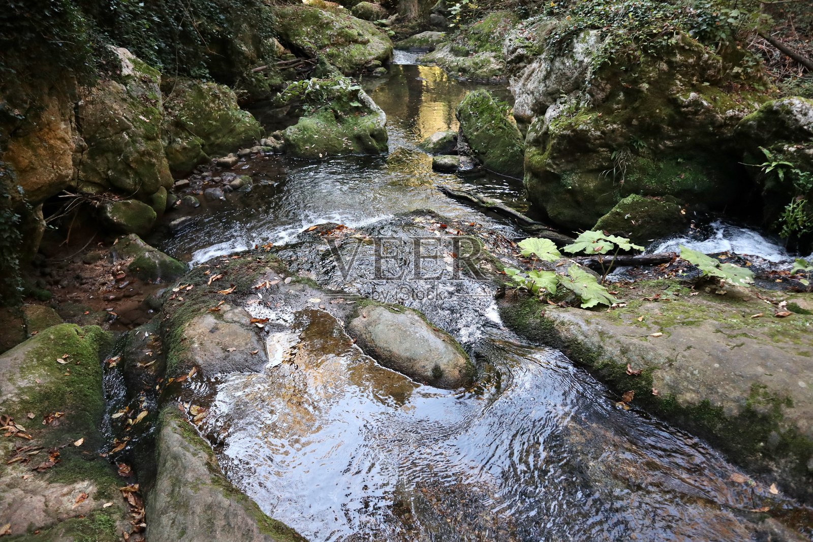 卡尔皮农 - 瀑布下游的卡尔皮诺溪急流照片摄影图片
