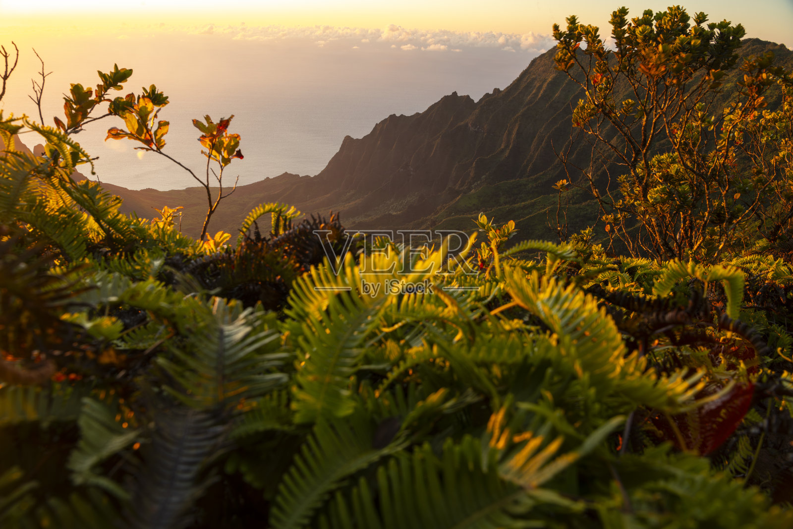 金色纳帕利照片摄影图片