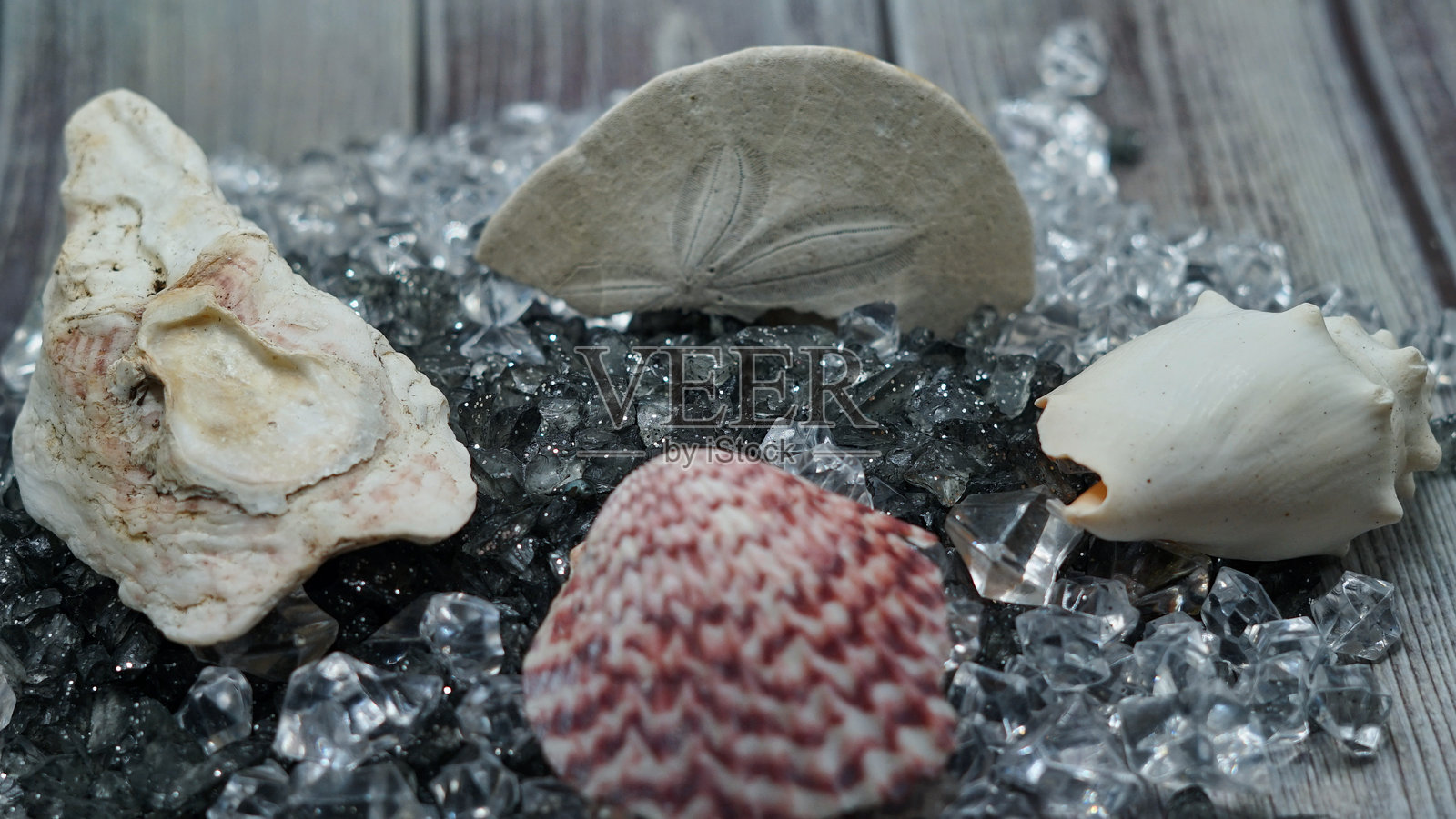 贝壳、粘土、沙子和岩石照片摄影图片