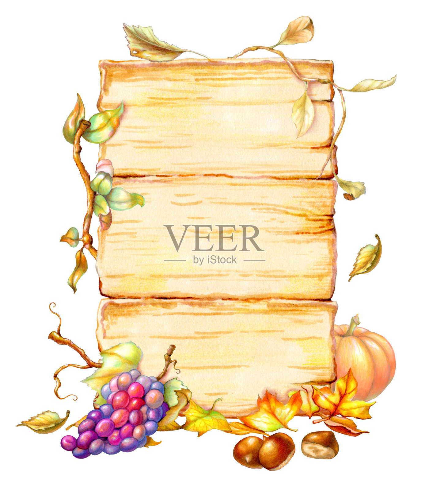 秋季植物装饰的木质横幅插画图片素材