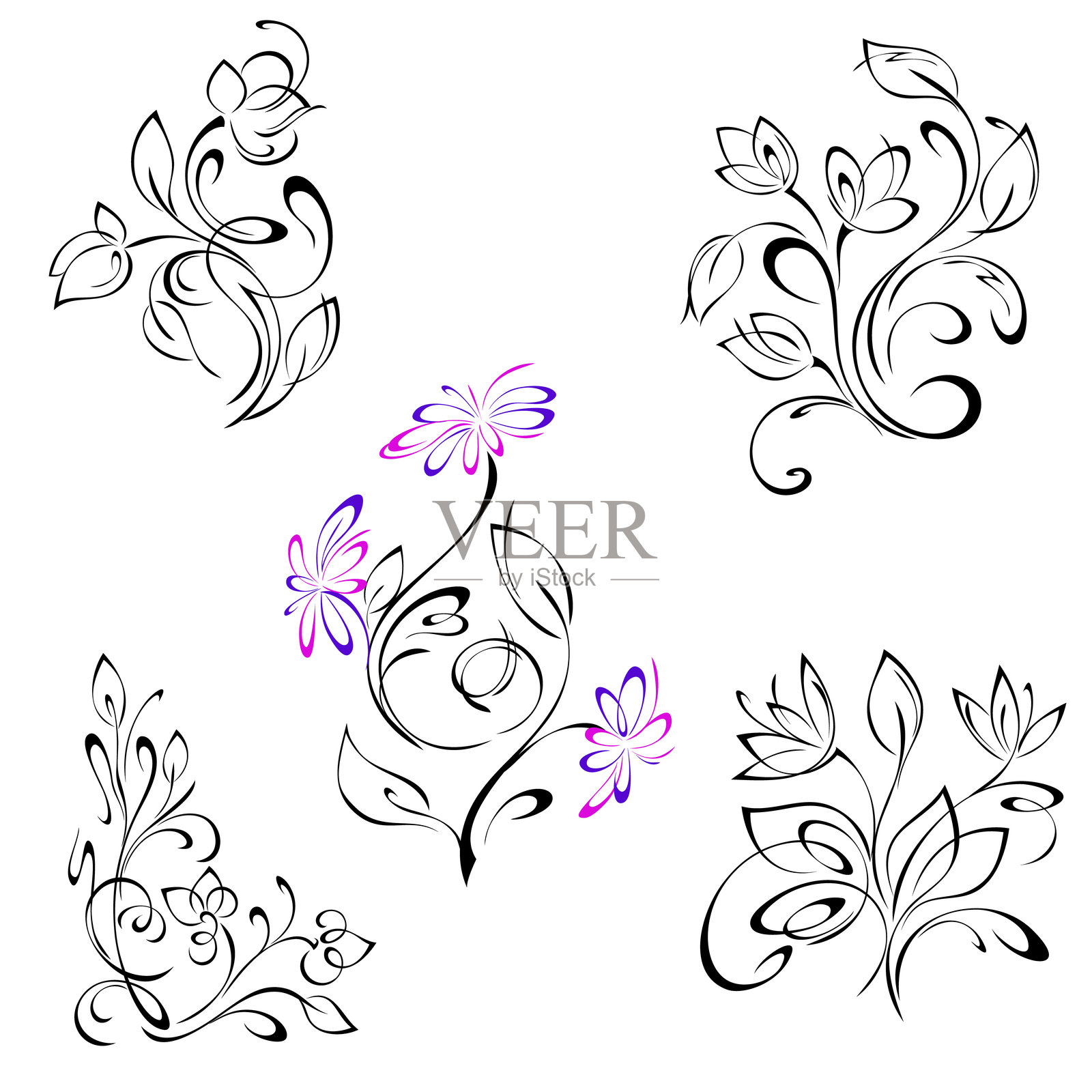 花卉装饰 15. 套装插画图片素材