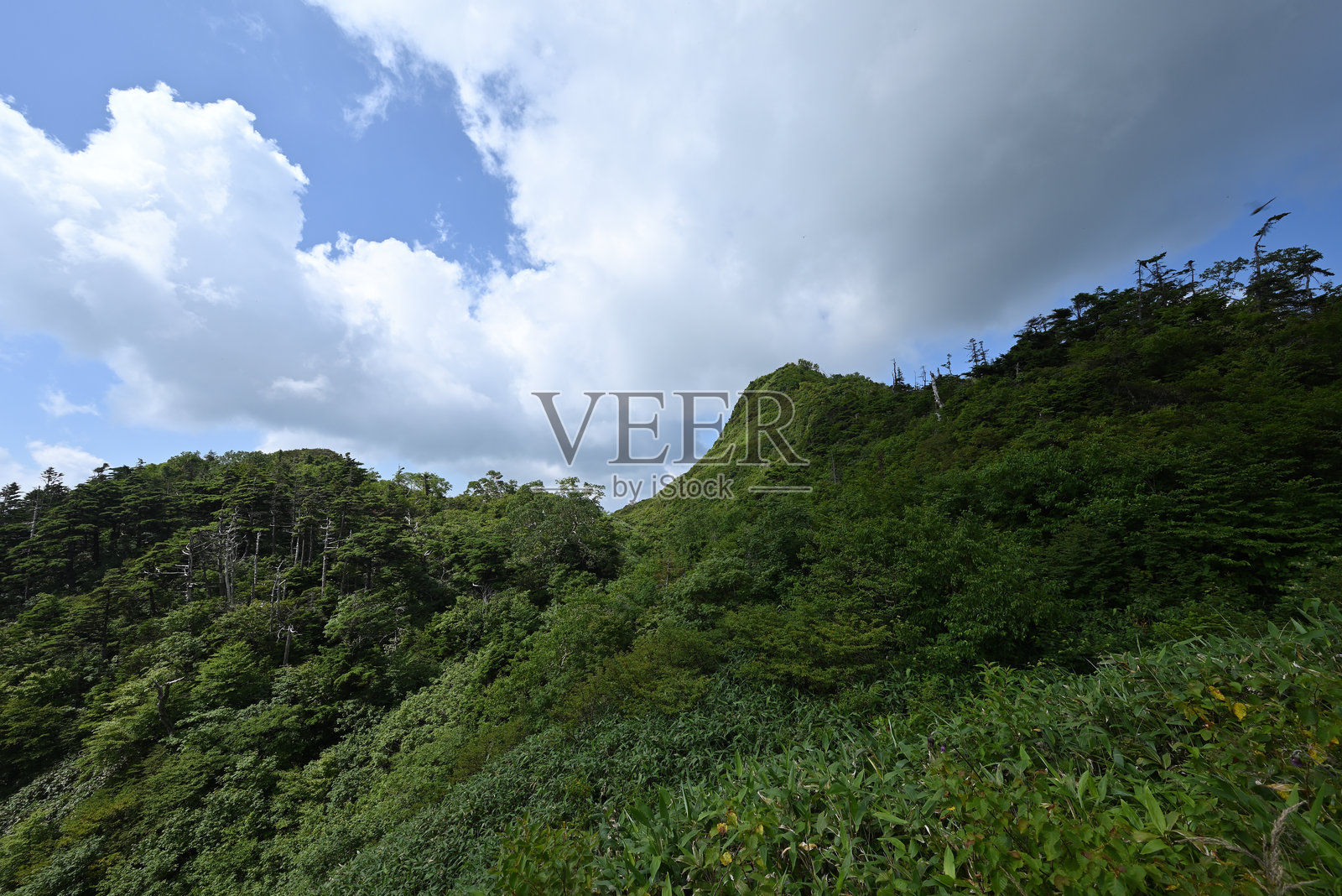 攀登日本群马县的白砂山照片摄影图片