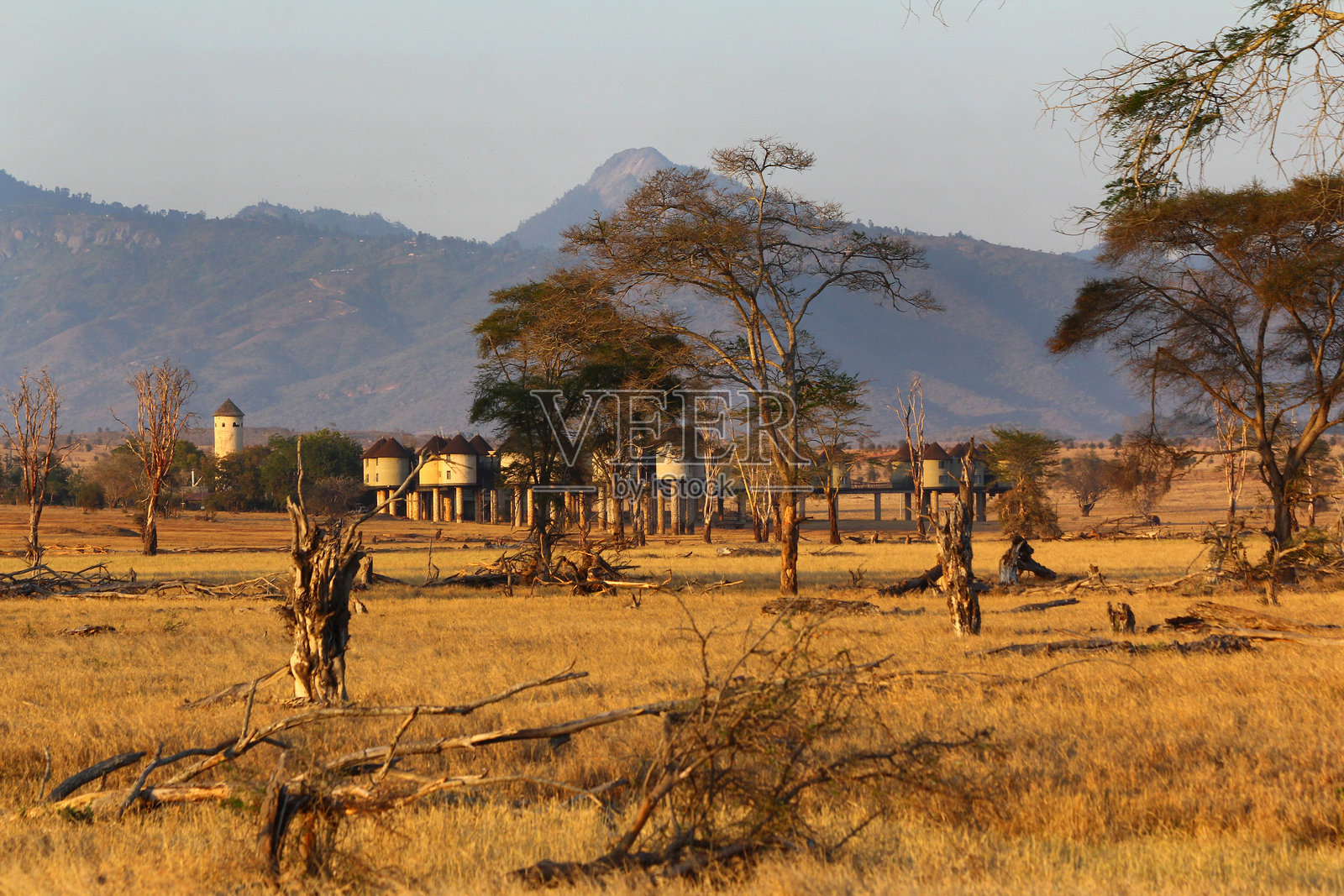 2017年9月在肯尼亚泰塔山盐舔区的野生动物园 - 由malindi.info呈现照片摄影图片