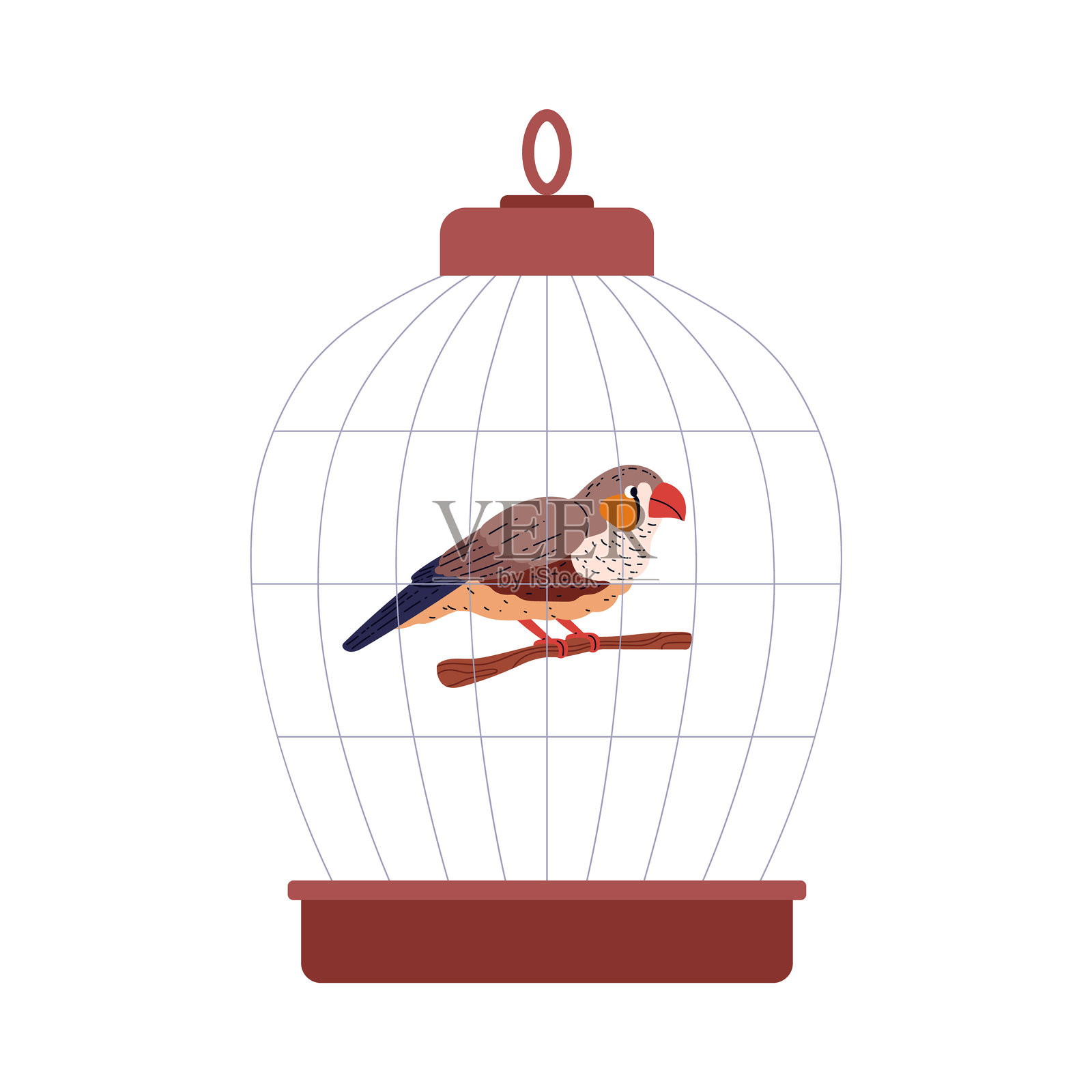 卡通阿马迪娜鸟坐在鸟笼中的树枝上，矢量装饰性的澳大利亚古尔德雀在树枝上。插画图片素材