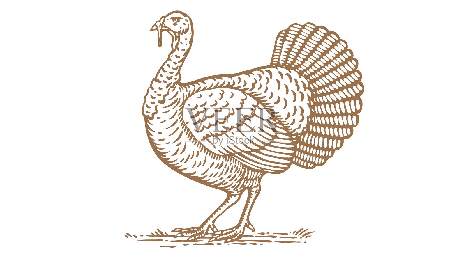 土耳其。复古印刷设计插画图片素材