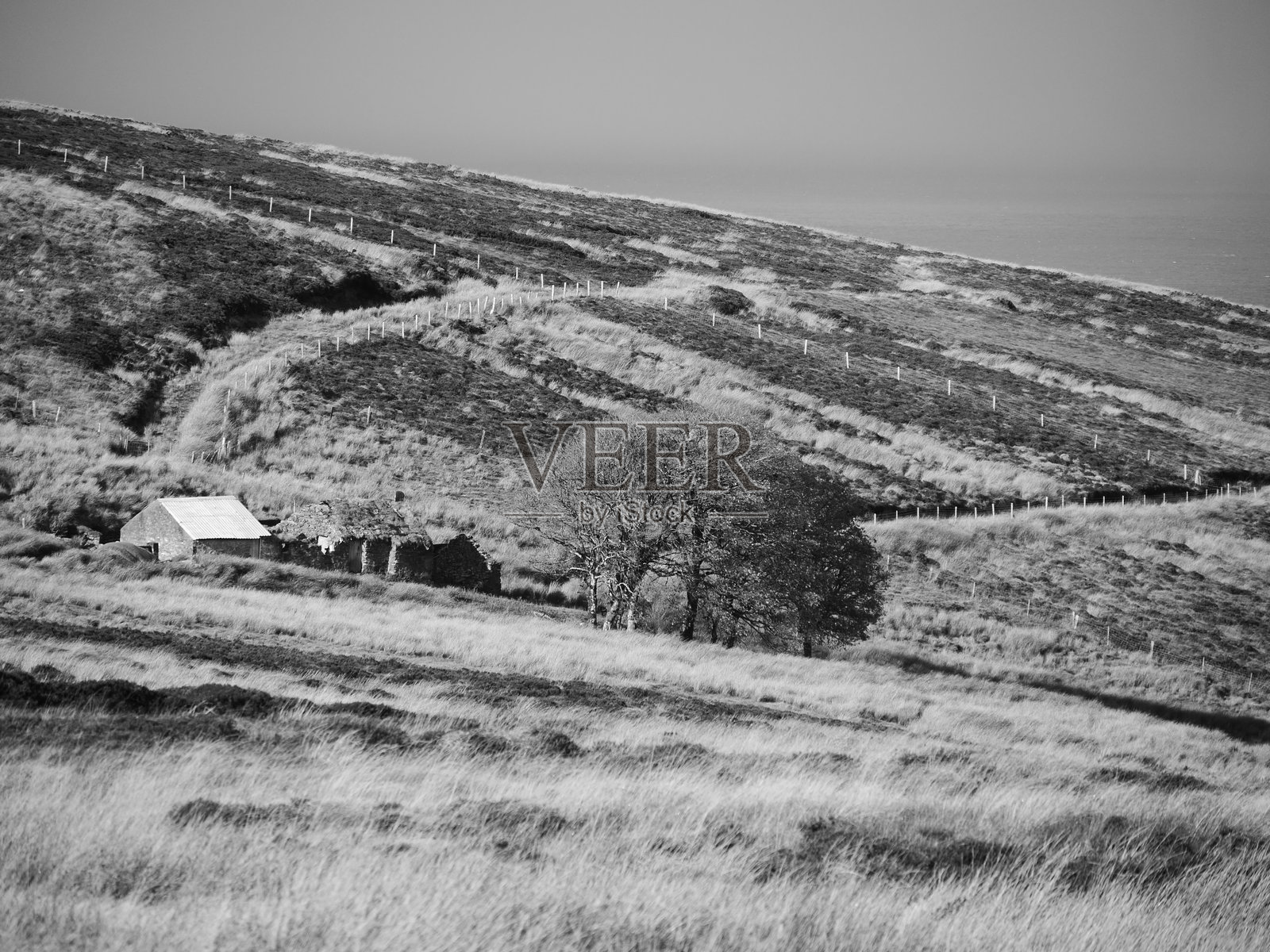 对比照片摄影图片