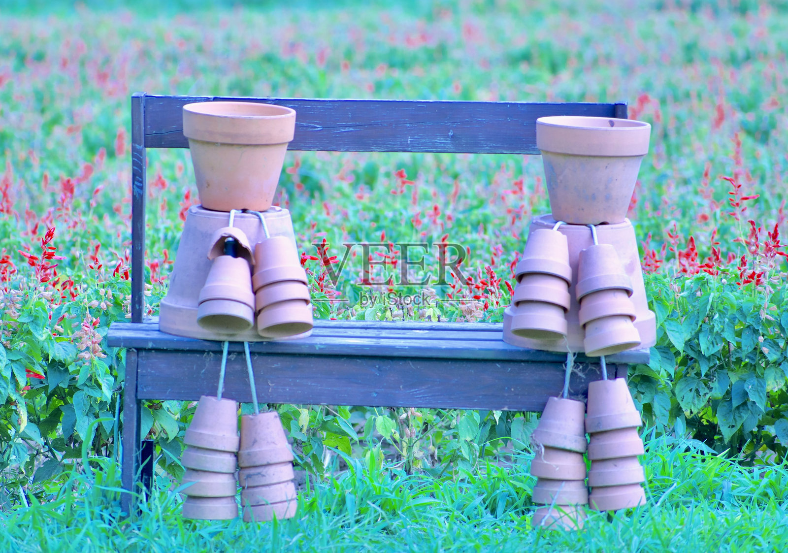 花园中的约会照片摄影图片