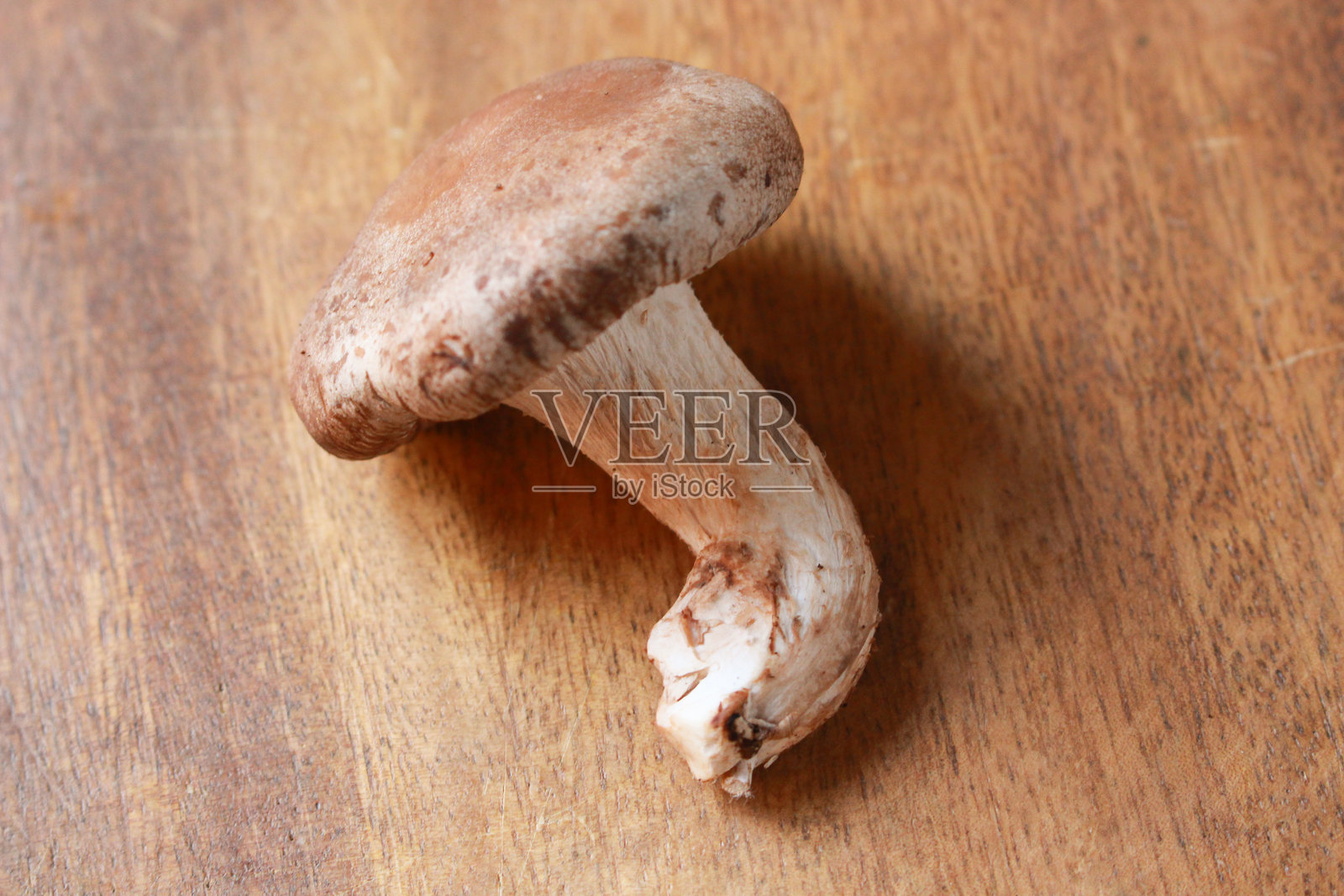 桌子上的香菇图片照片摄影图片