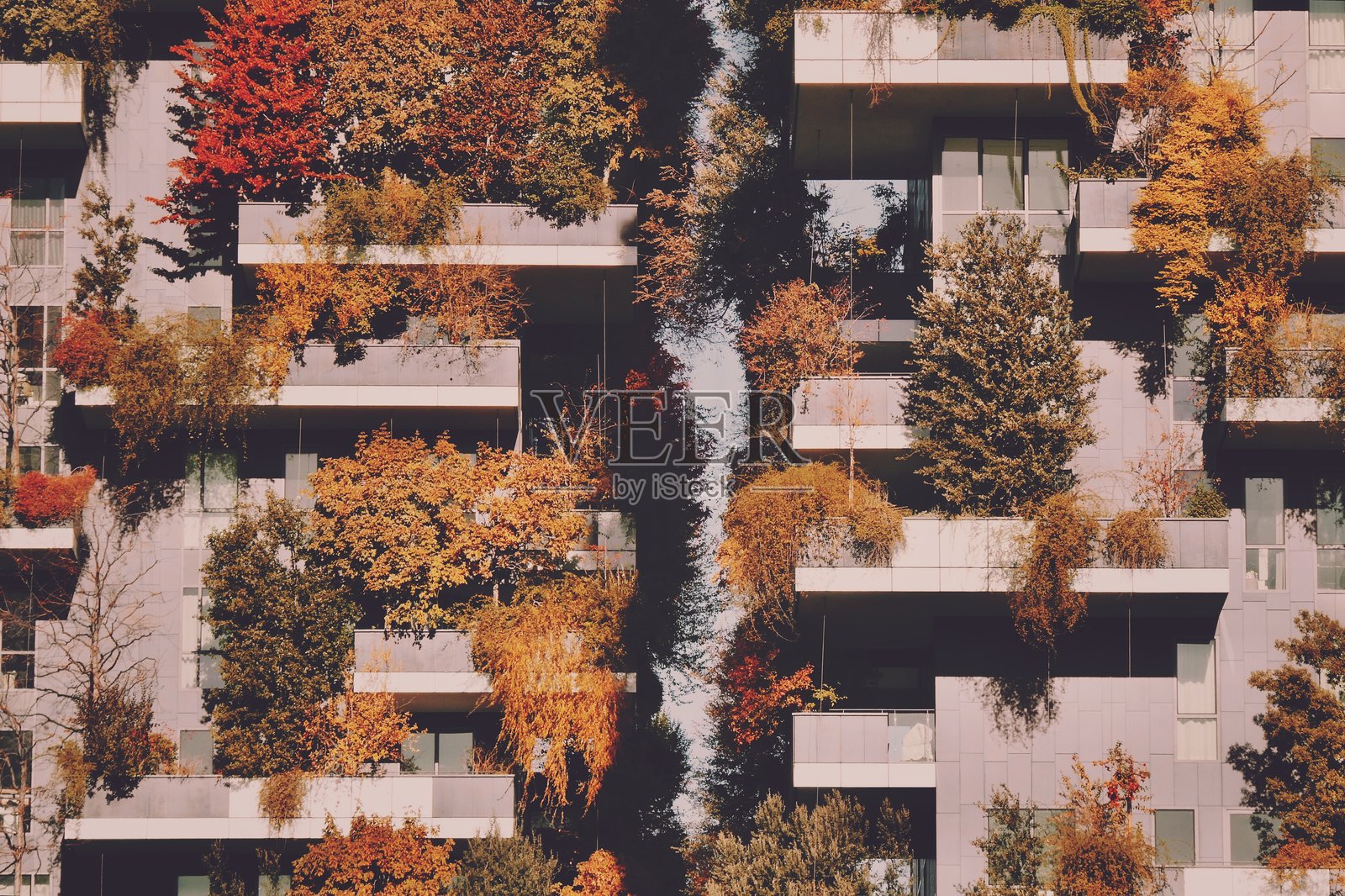 秋季时分，阳台上种满树木的摩天大楼照片摄影图片