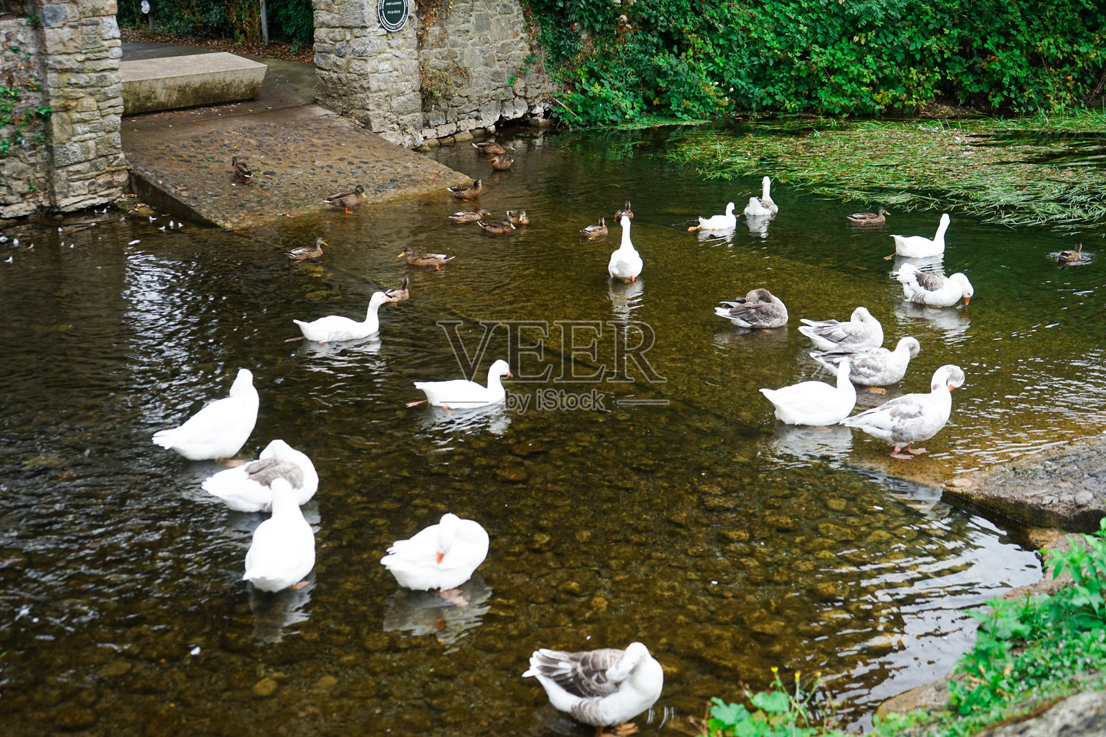 爱尔兰美丽的小镇凯赫尔照片摄影图片