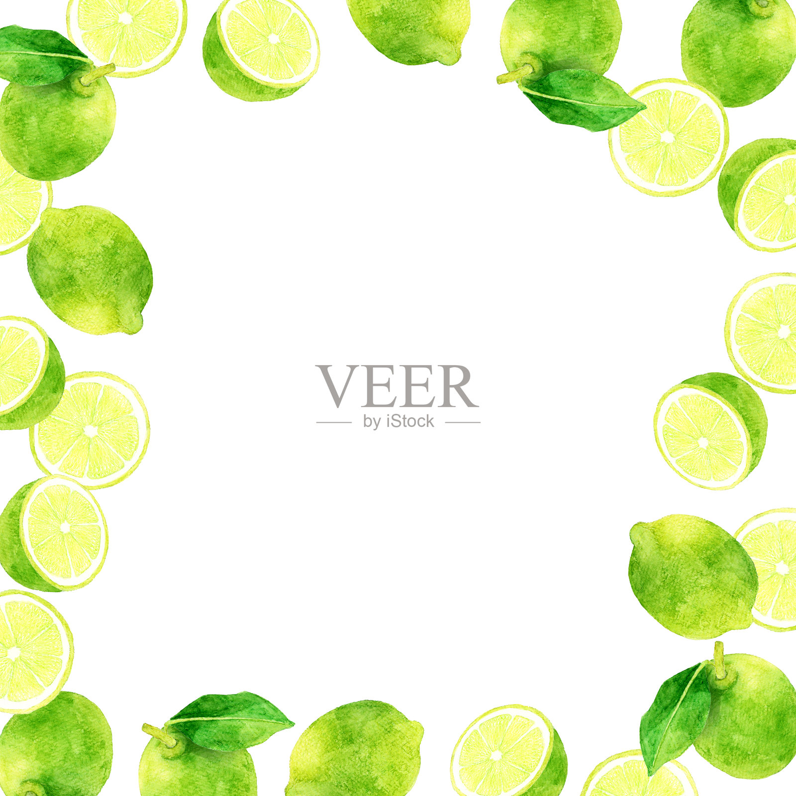 青柠正方形框架。水果手绘水彩插图背景。插画图片素材