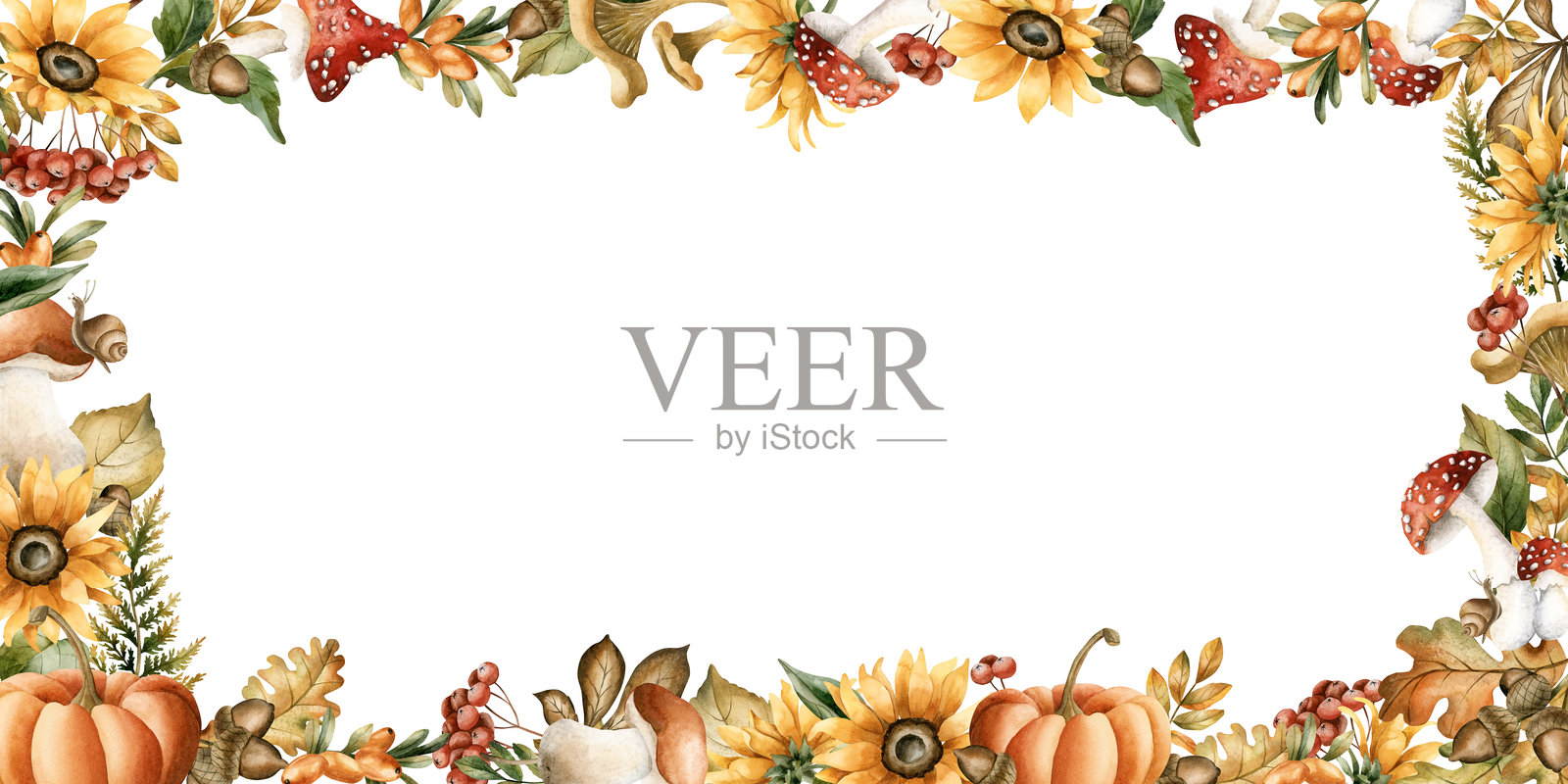 秋季边框，包含秋天的树叶、蘑菇、花朵、昆虫和动物。水彩手绘花卉插图插画图片素材