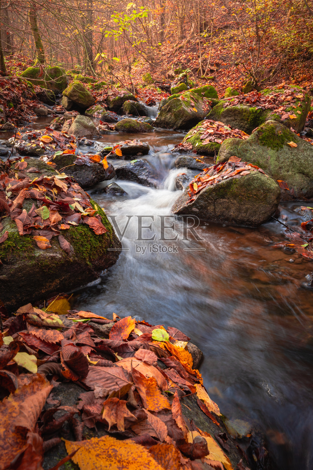 秋季森林小溪中小瀑布的特写，水流模糊。照片摄影图片