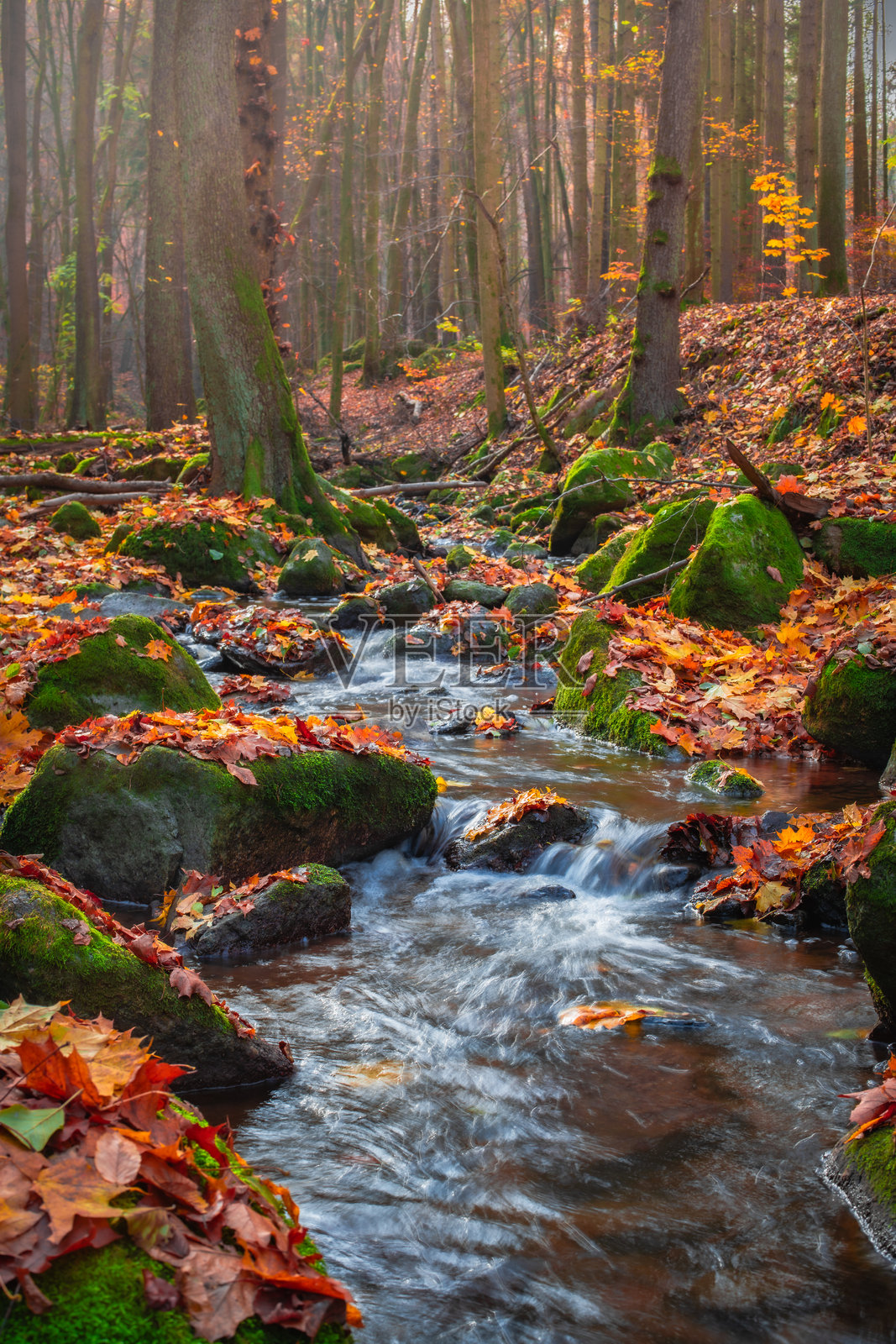 秋季森林溪流中小瀑布的特写，水流模糊。照片摄影图片