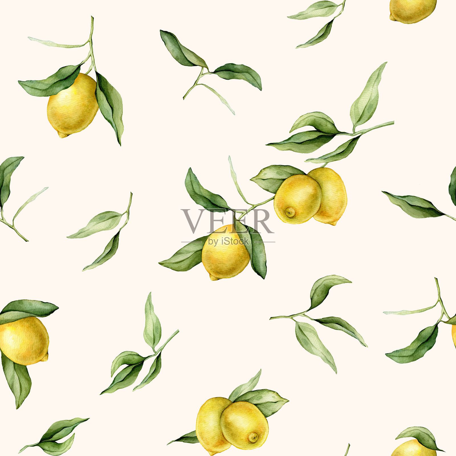 无缝图案，水彩插图的柠檬或青柠。手绘的柠檬枝和绿色叶子，背景为白色，适用于果汁标签或图标。插画图片素材