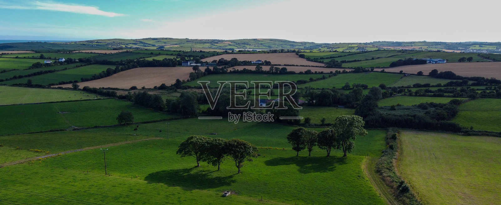 农田，景观。夏季的农业风光。草地和树木。绿草地与树木。照片摄影图片
