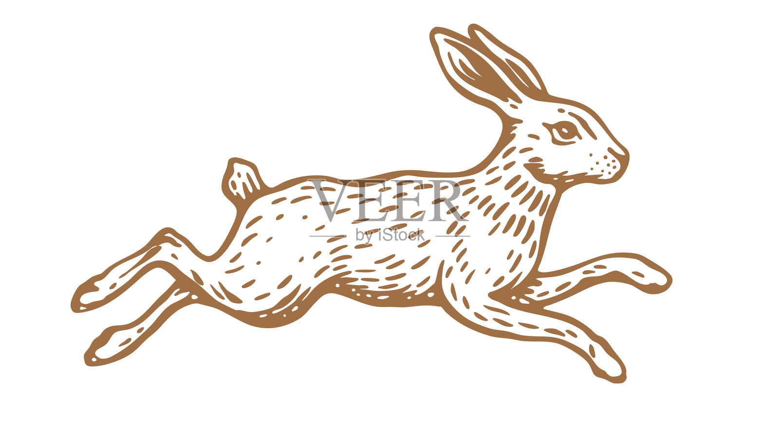 兔子素描。复古印刷风格插画图片素材