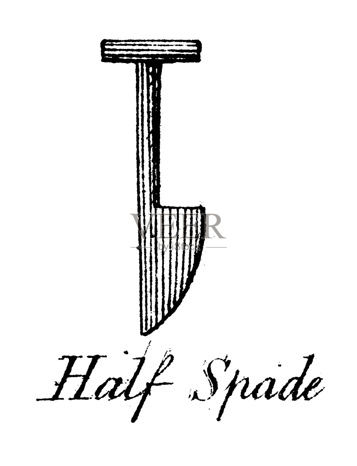 纹章学，纹章元素和家族：半铲插画图片素材