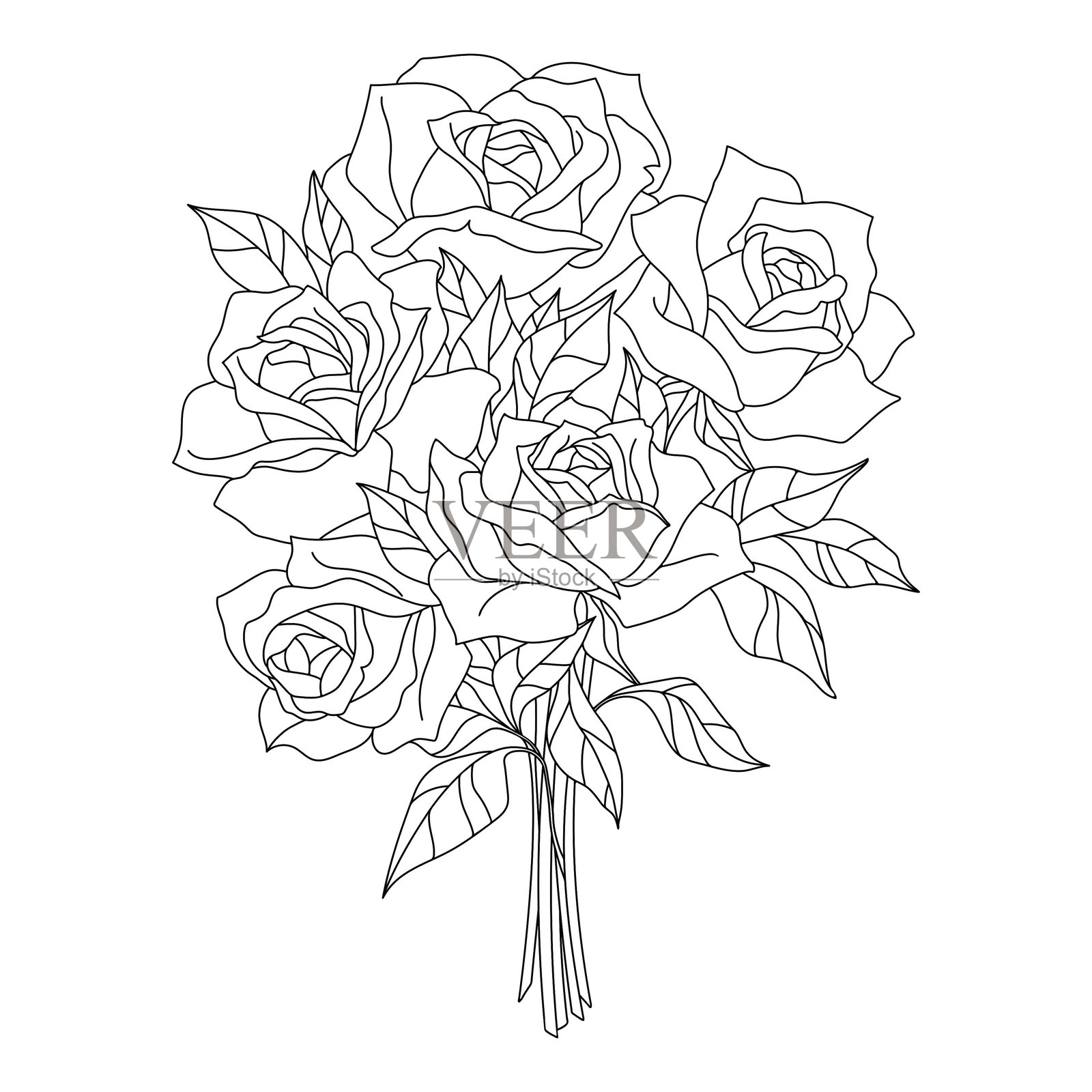 线性花卉插图插画图片素材