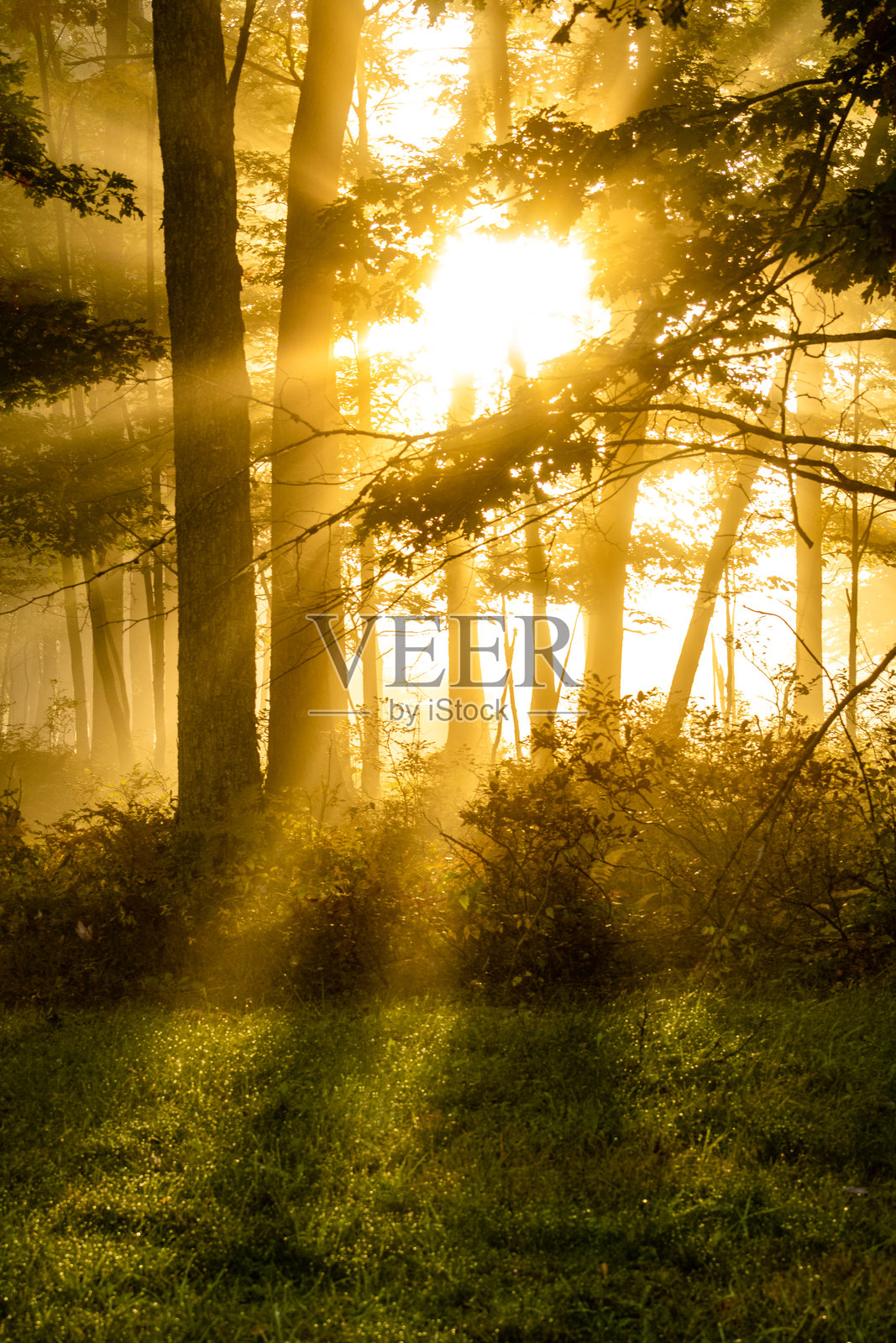 日出时的晨光射线照片摄影图片