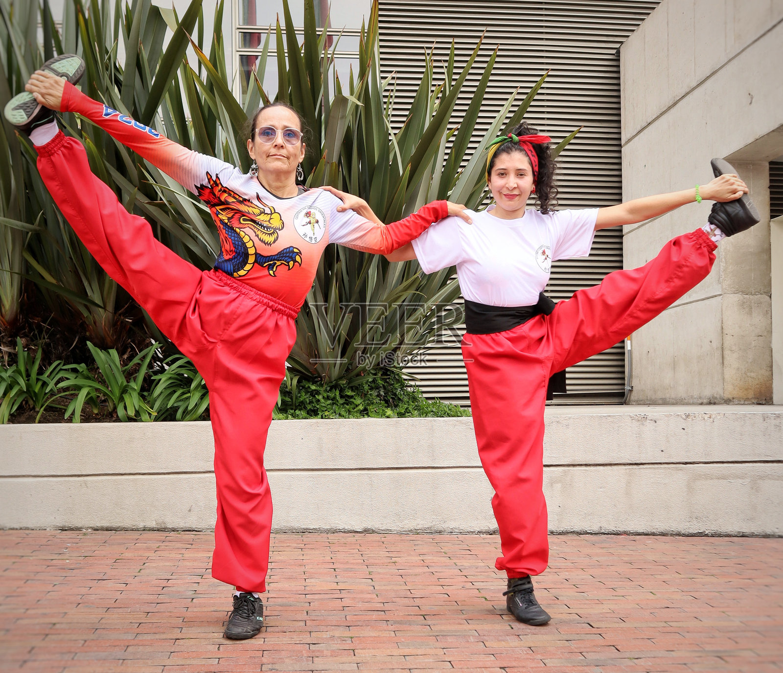 武术家在武术姿势中照片摄影图片