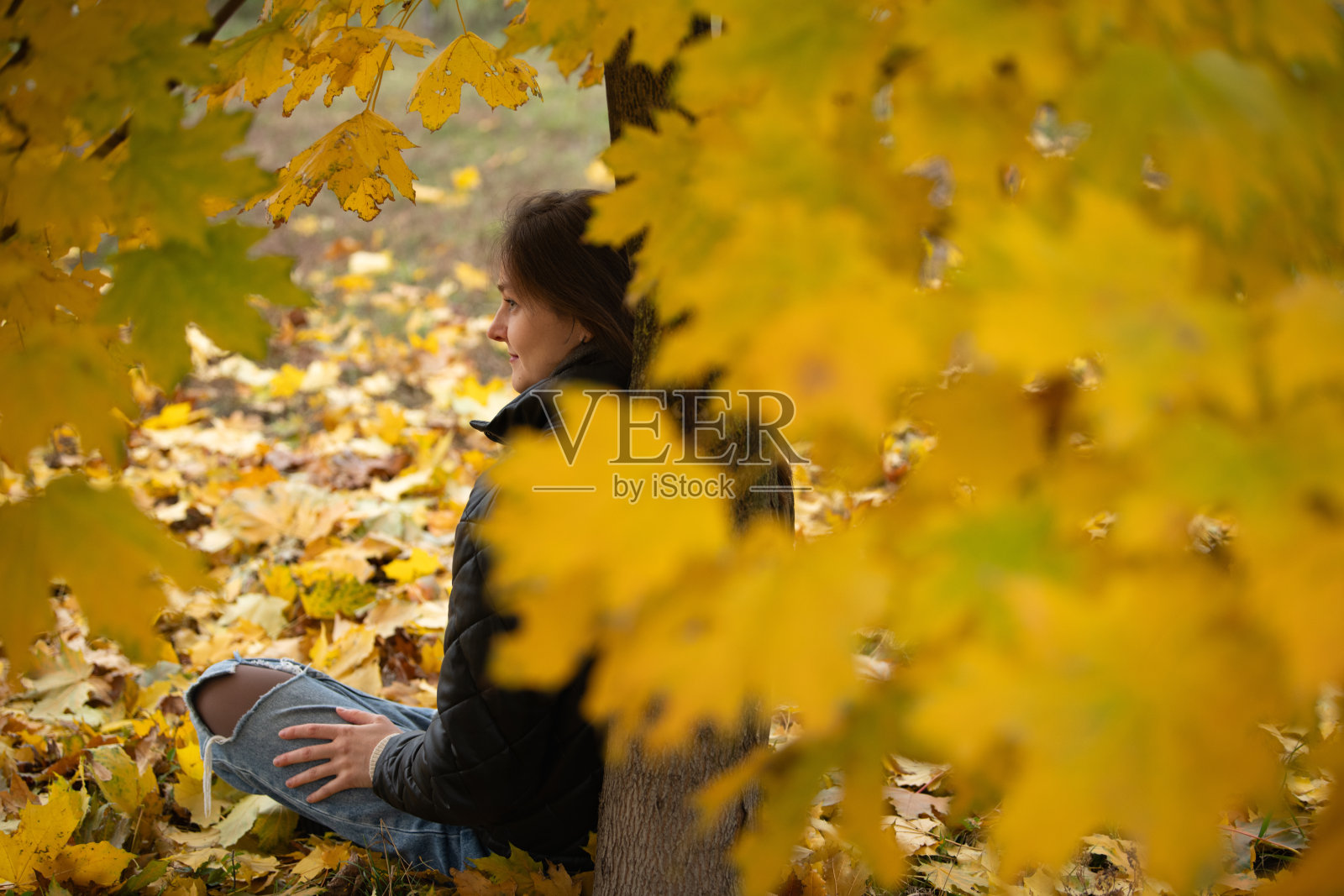 一位年轻女性安静地坐在树旁的地面上，周围是五彩斑斓的秋叶，享受着宁静的秋日下午。照片摄影图片