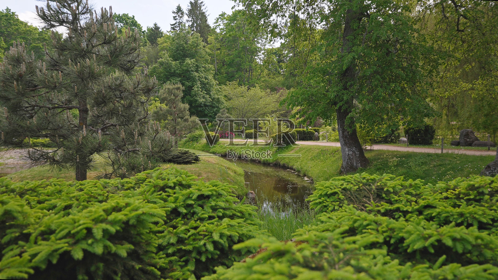 风景如画的日本庭园与池塘。照片摄影图片