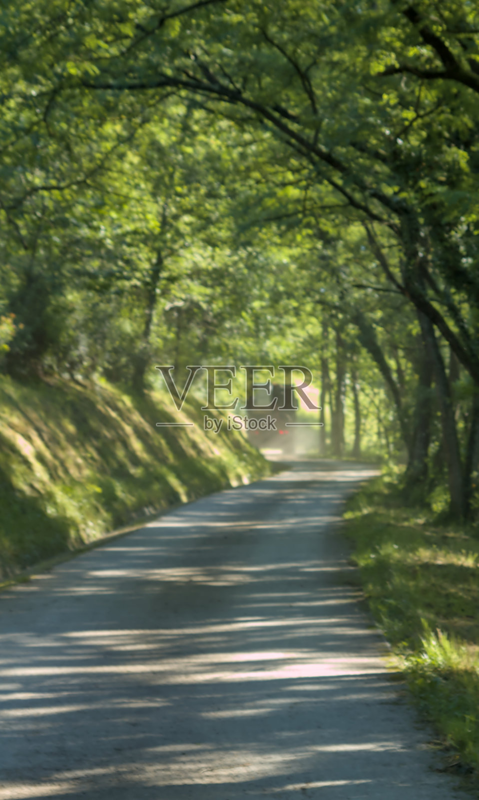 森林小道和卡车照片摄影图片
