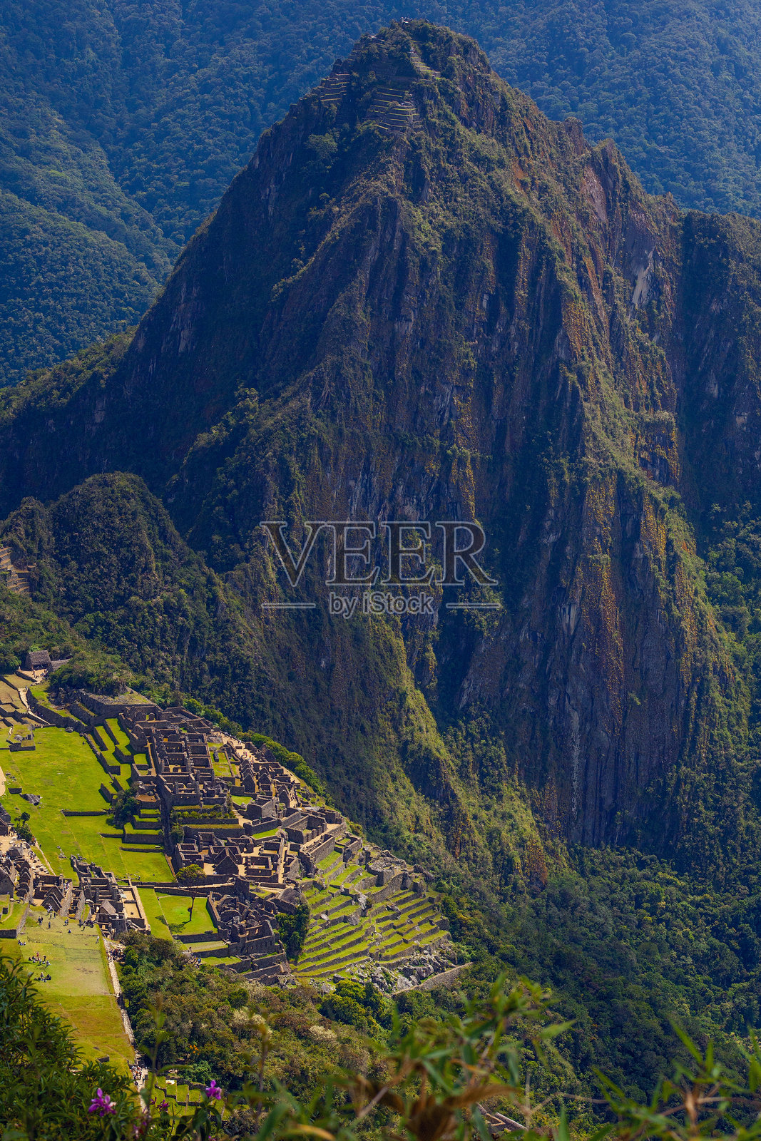 马丘比丘及古印加遗址的鸟瞰图，周围环绕着郁郁葱葱的绿色山脉照片摄影图片