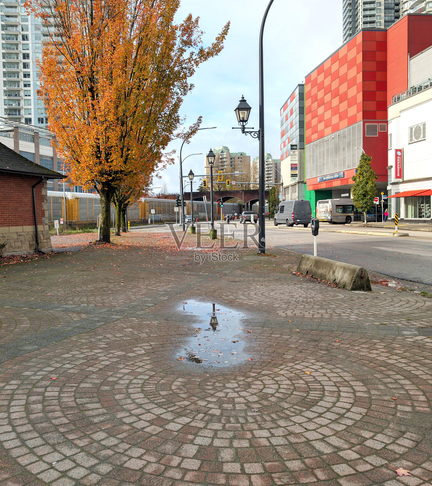 加拿大新威斯敏斯特市的倒影照片摄影图片