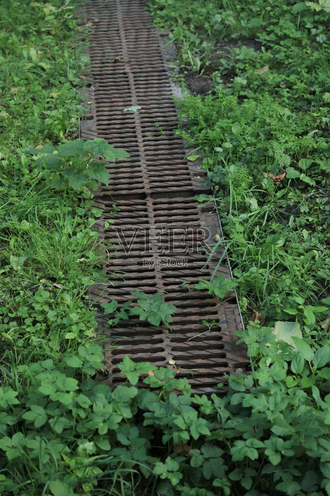公园绿草坪旁的排水系统铁格栅门，用于排放雨水。照片摄影图片