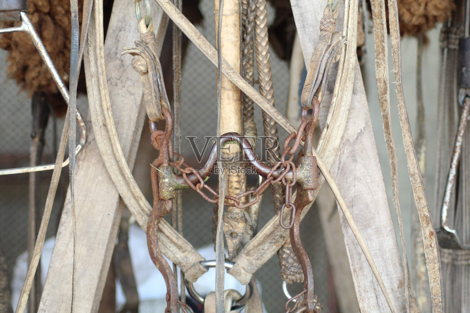 马具，马匹用具照片摄影图片