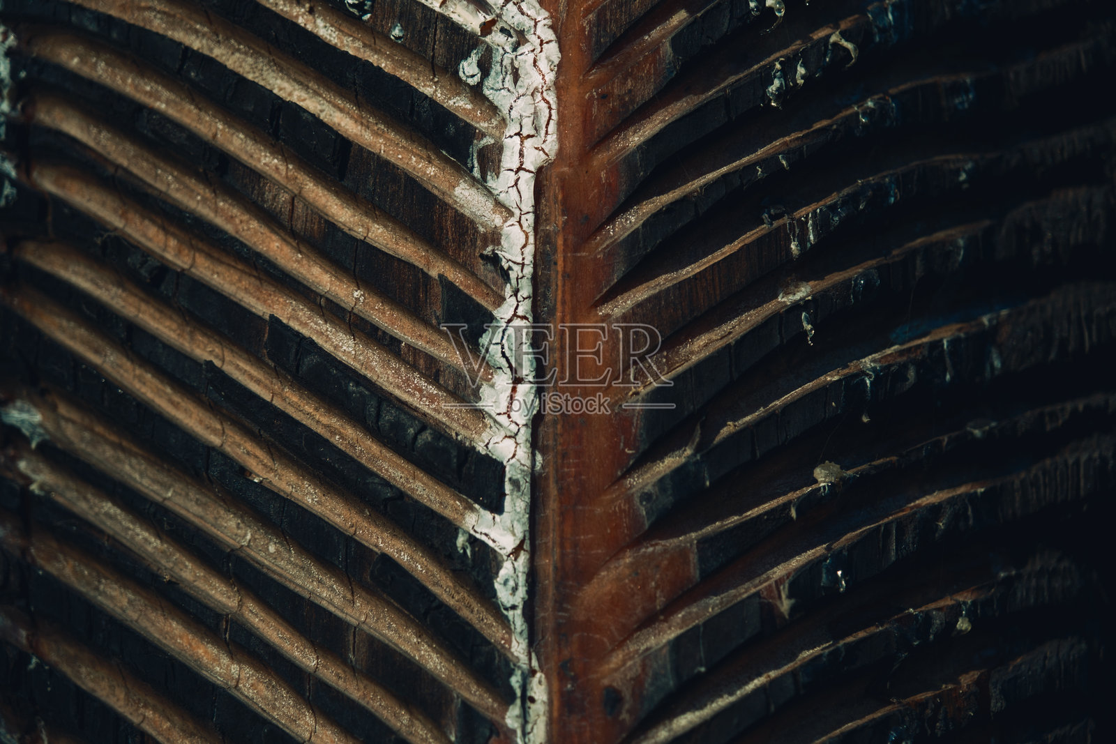 松树树脂特写照片照片摄影图片