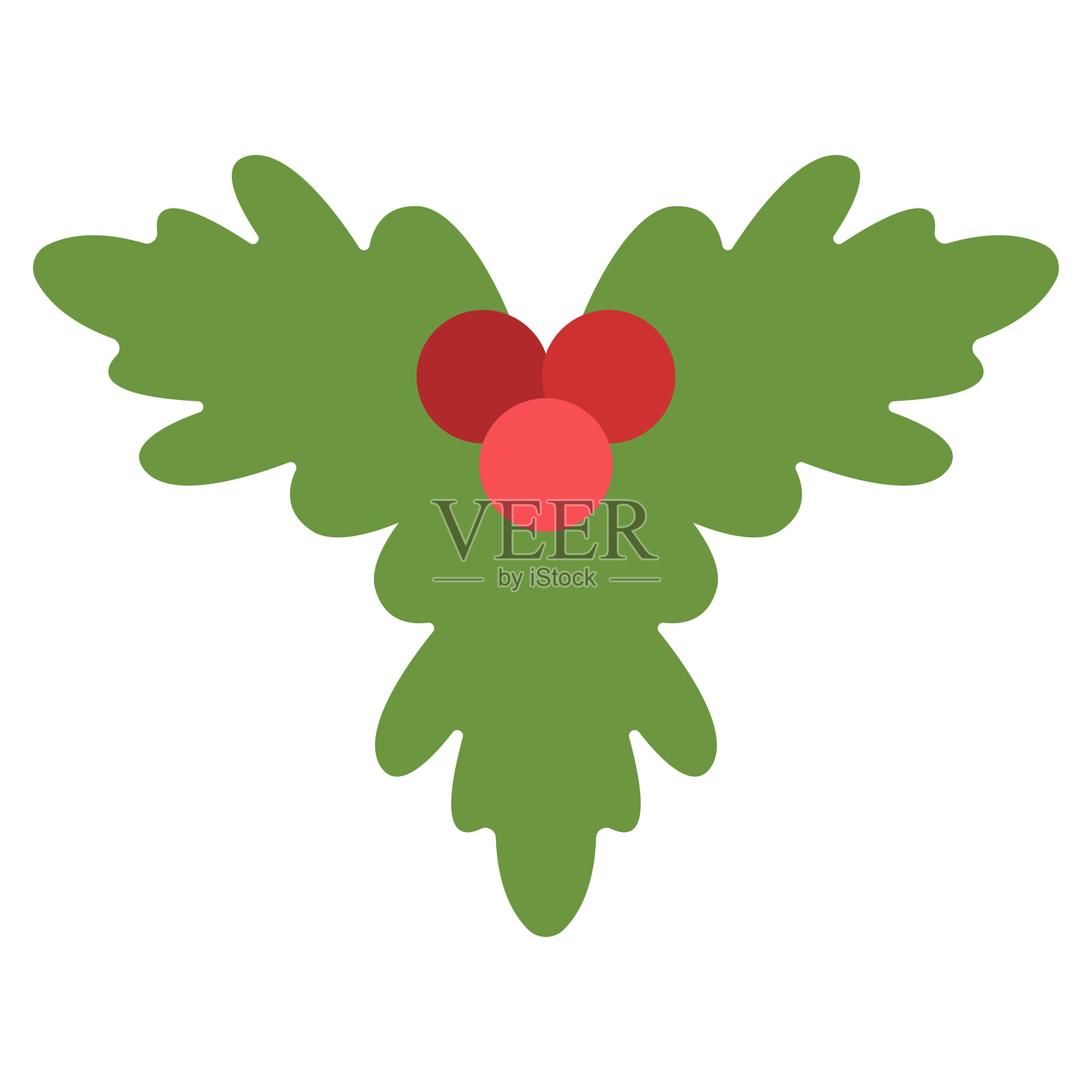 冬青浆果矢量圣诞图标，背景为白色。插画图片素材