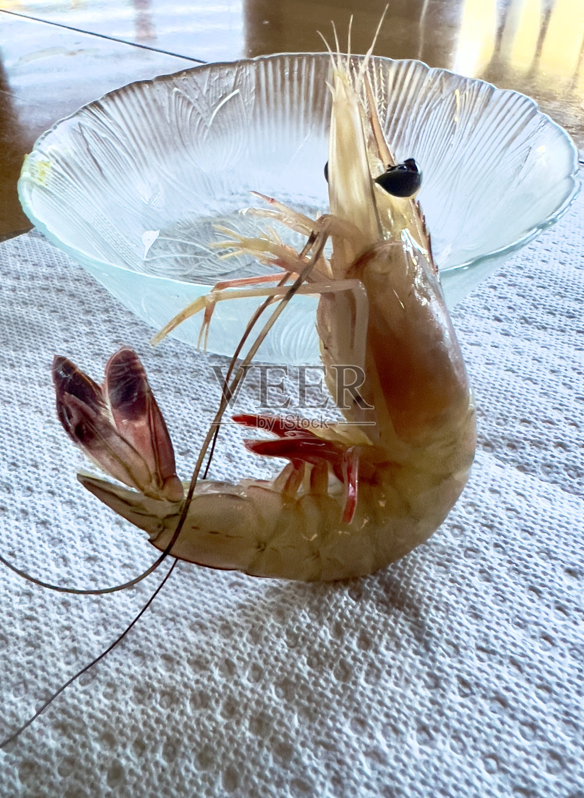 新鲜生虾特写照片摄影图片