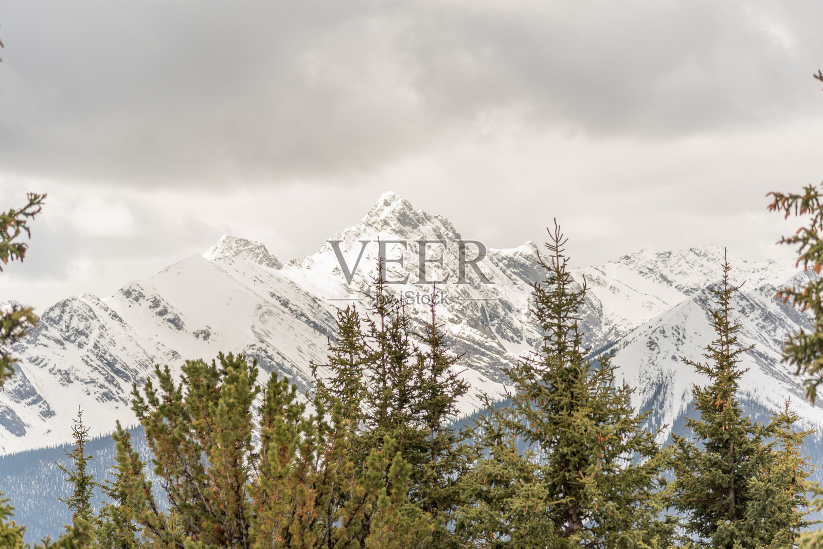 春季时从班夫缆车顶部看到的壮丽山峰，周围是白雪覆盖的高山。照片摄影图片
