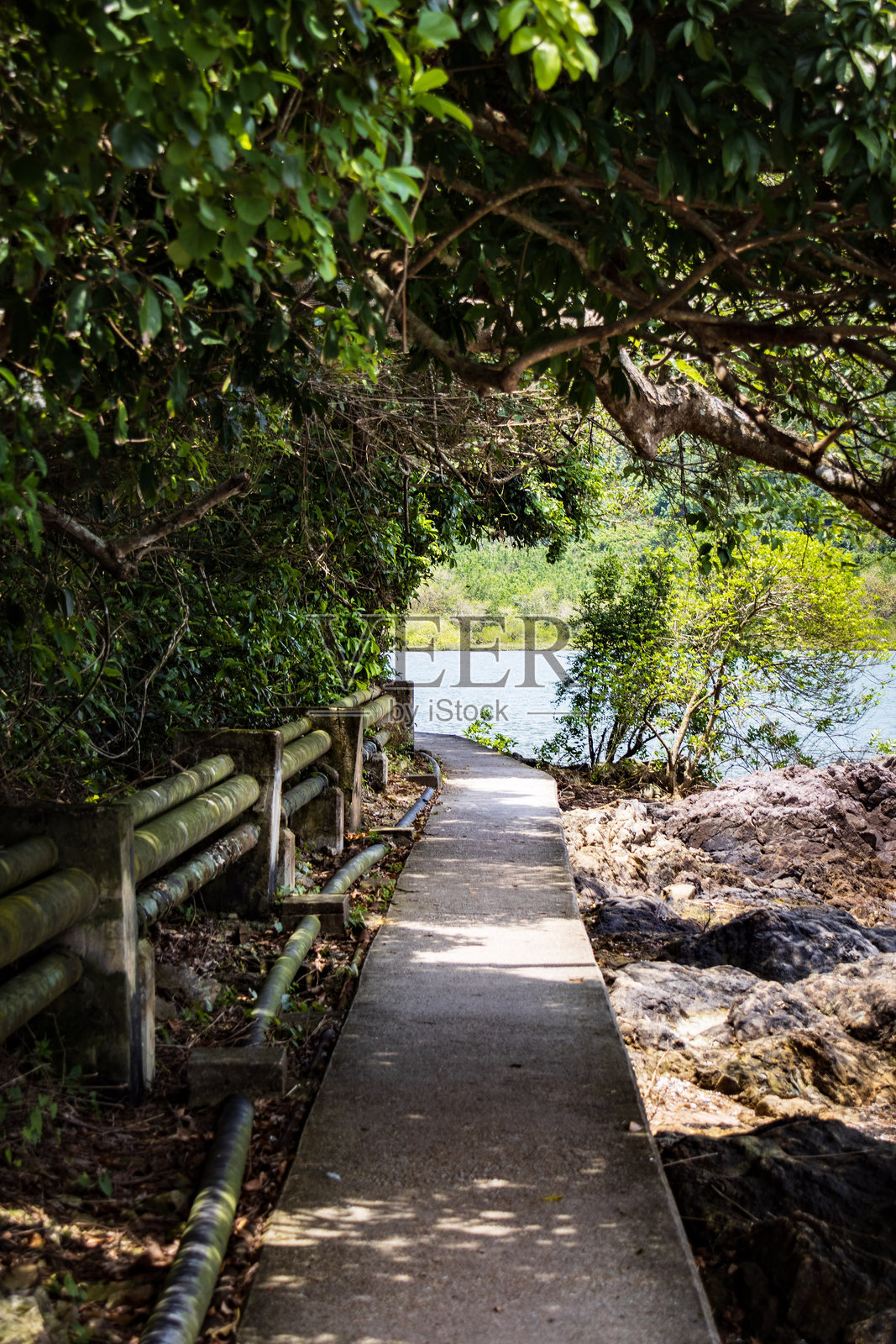风景如画的湖边小径被郁郁葱葱的绿植环绕照片摄影图片