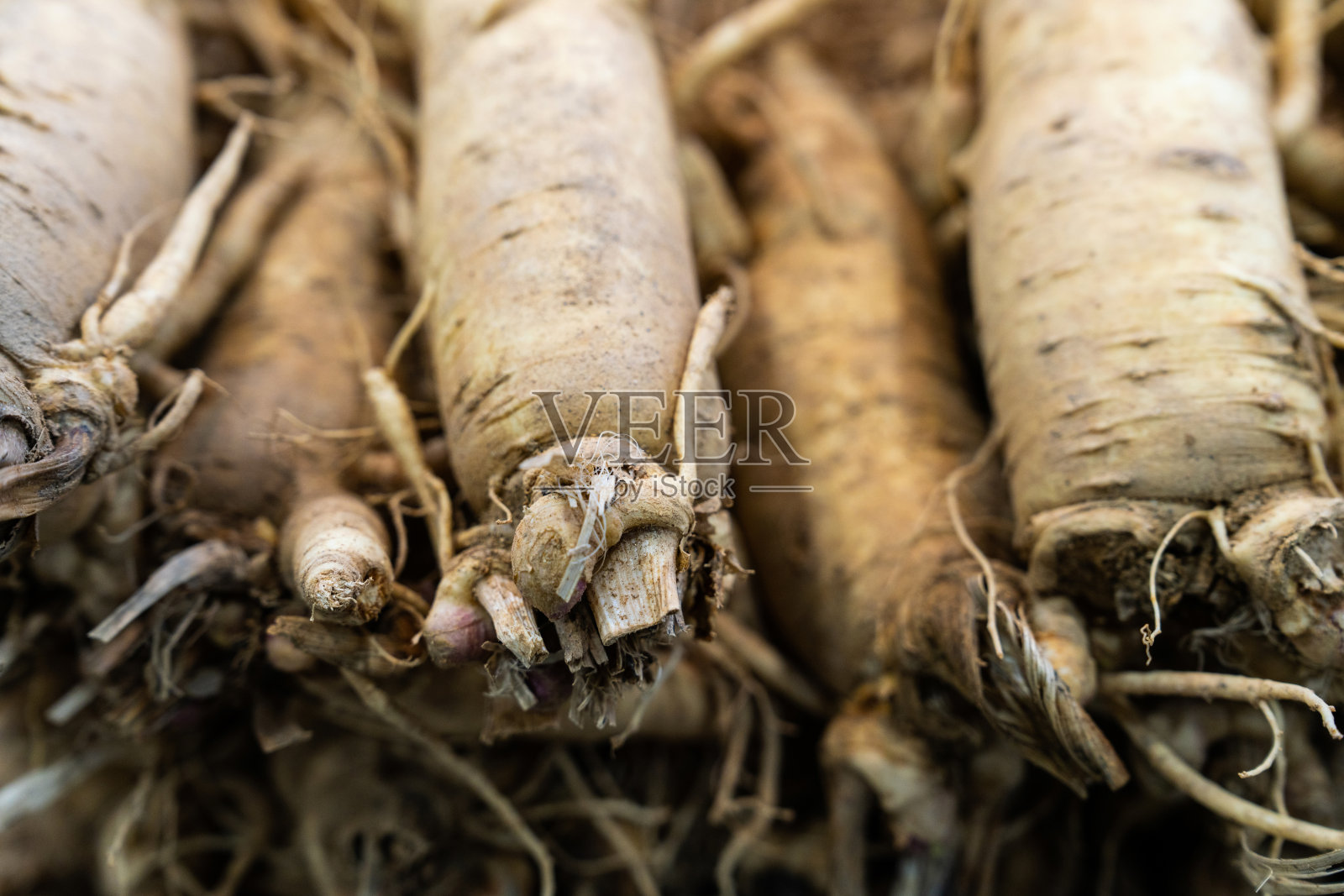 市场上出售的生人参照片摄影图片