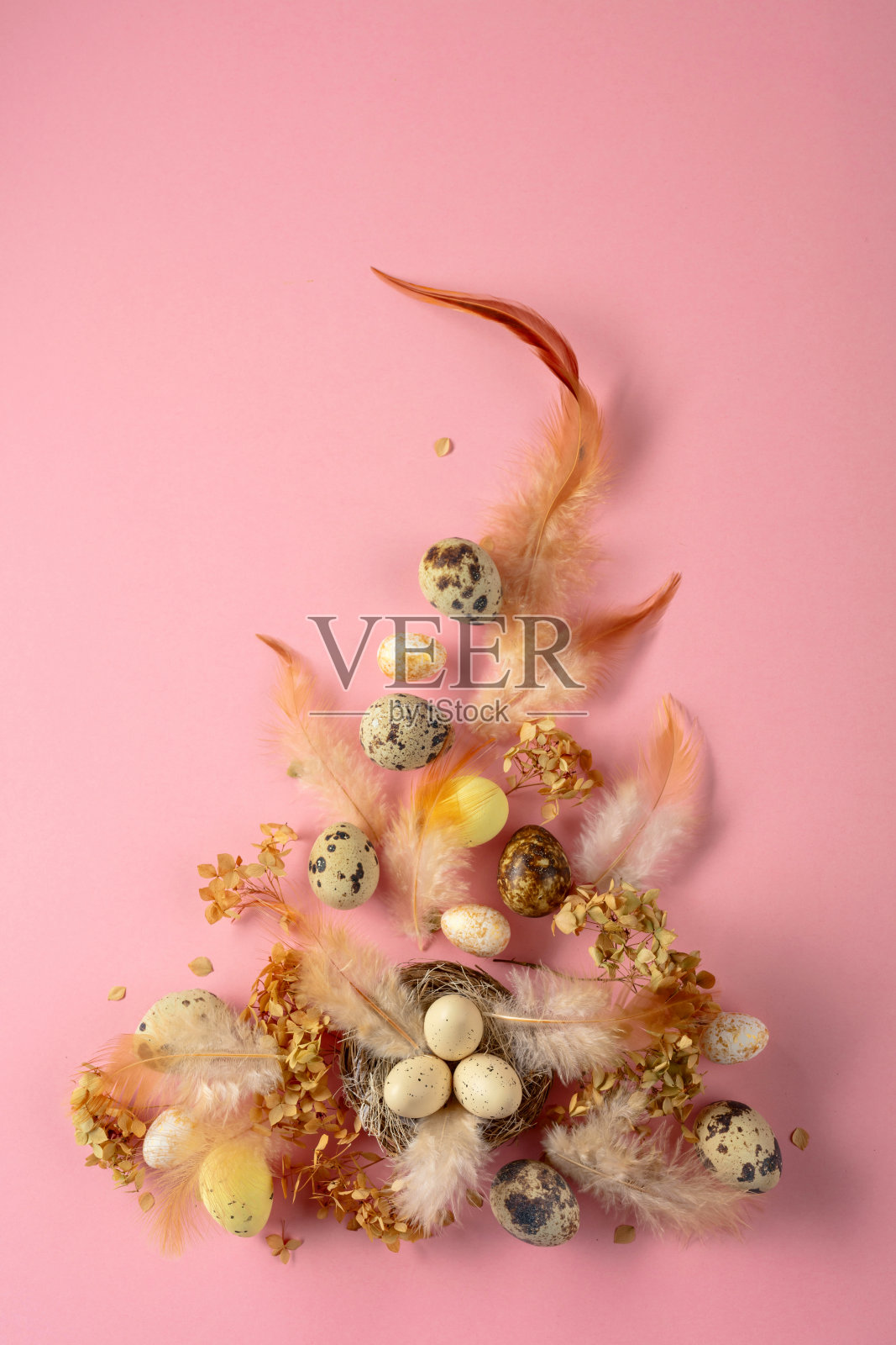 复活节的组合，包含鹌鹑蛋、羽毛和干花。照片摄影图片