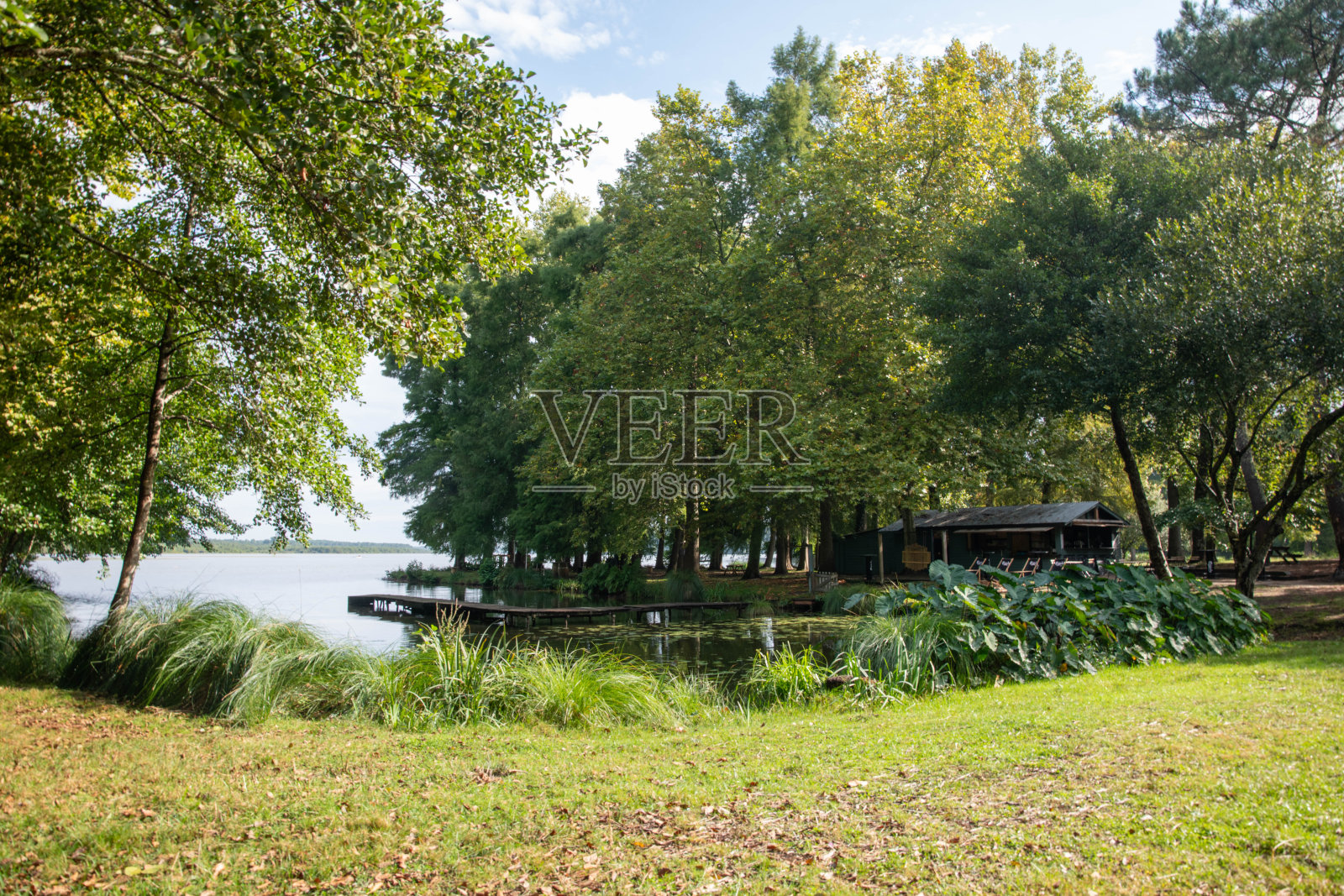 田园风光与湖泊照片摄影图片