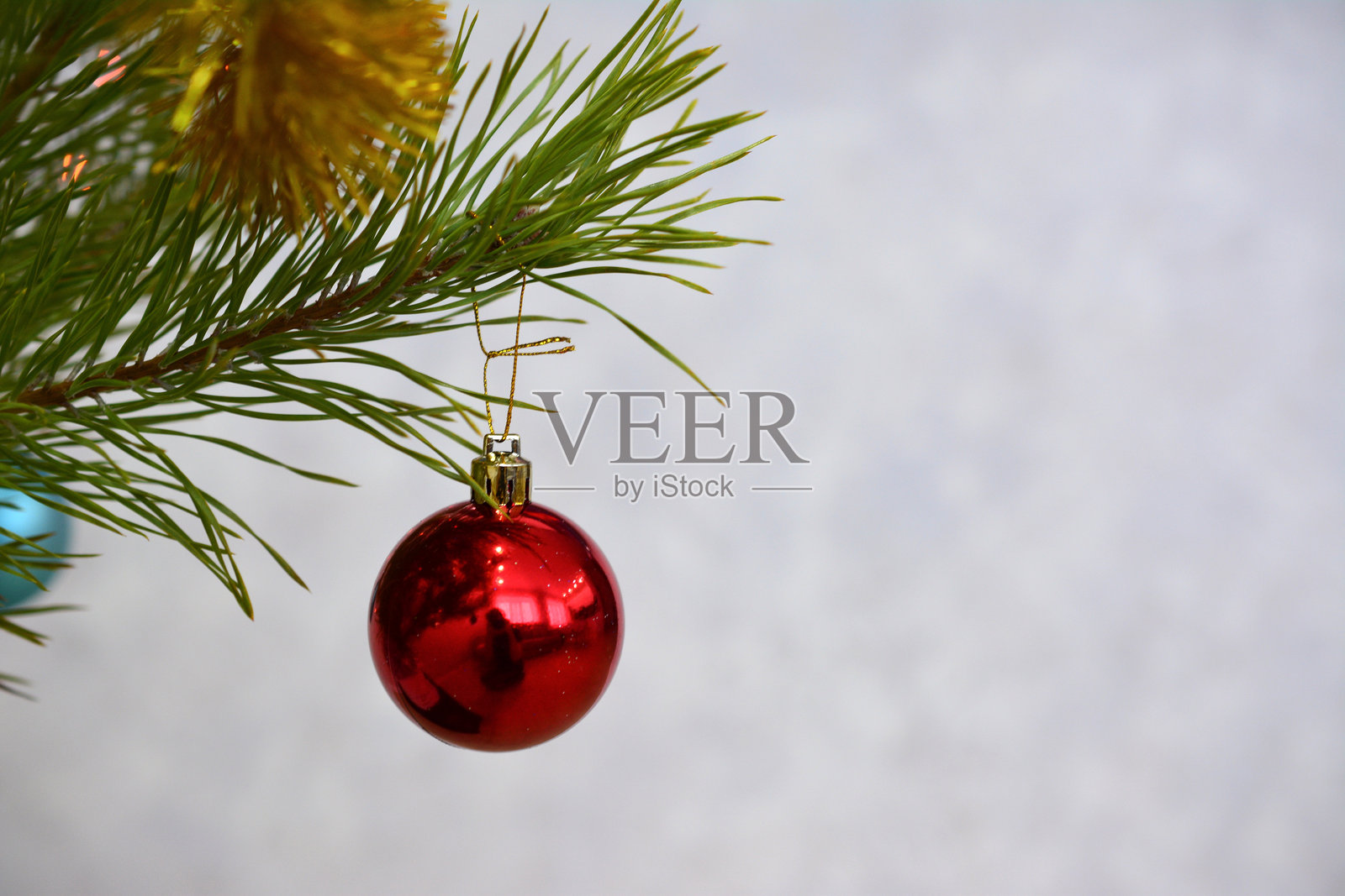 一颗红色装饰品挂在左侧的圣诞树上，留有空白空间。照片摄影图片
